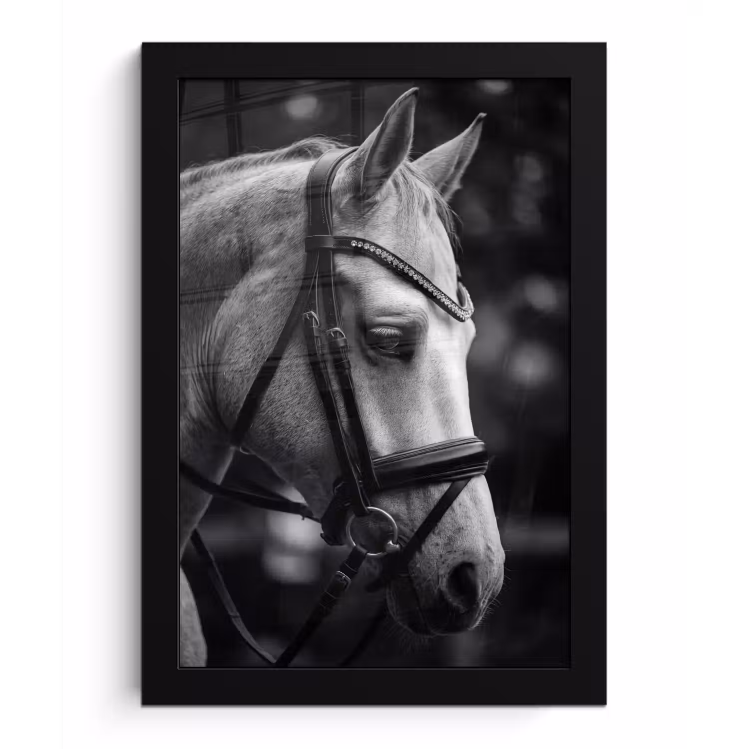 Paard - Schimmel - Portret fotolijst zwart zonder passe partout klein -3d