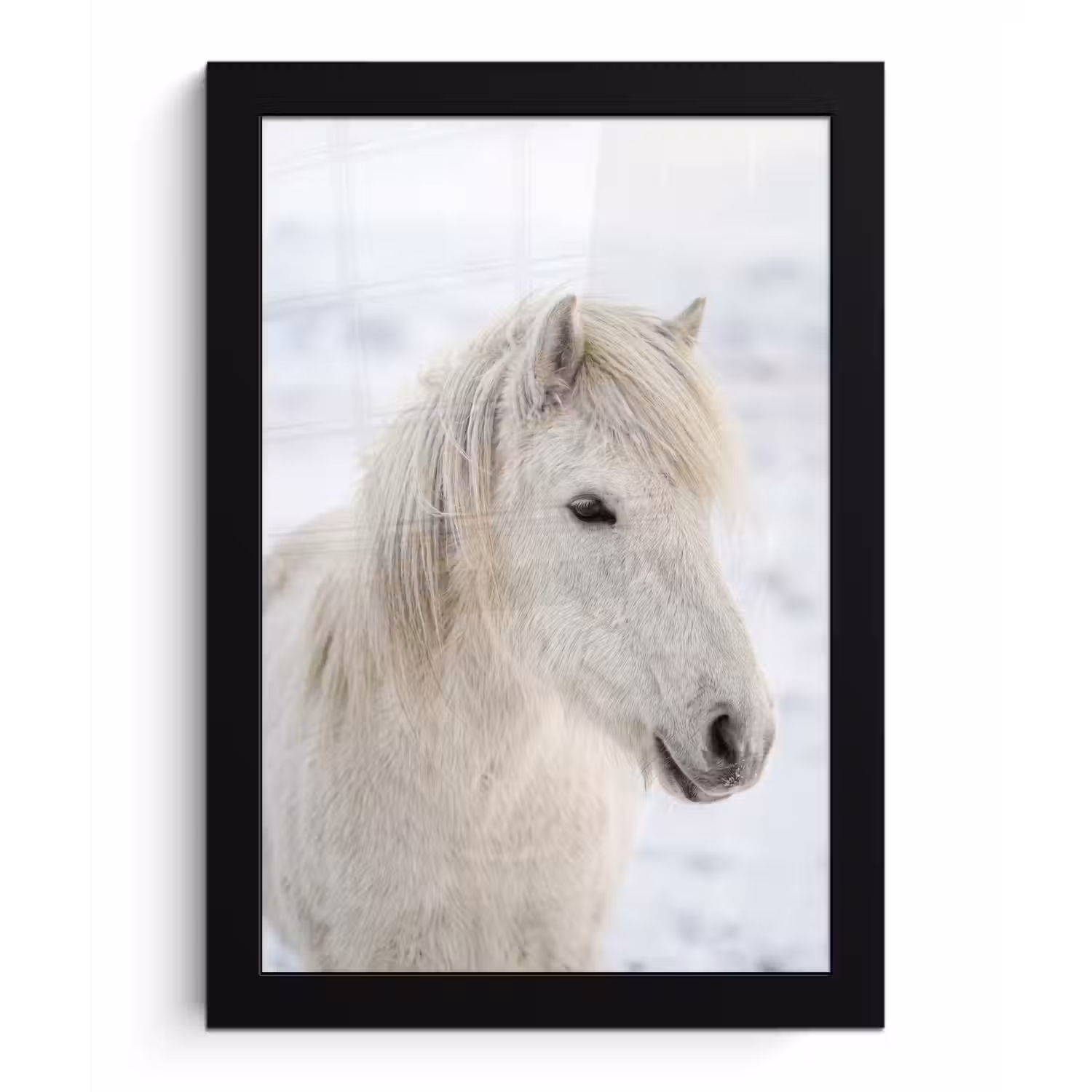 Paard - Kop - Winter - Dieren - Wit fotolijst zwart zonder passe partout klein -3d