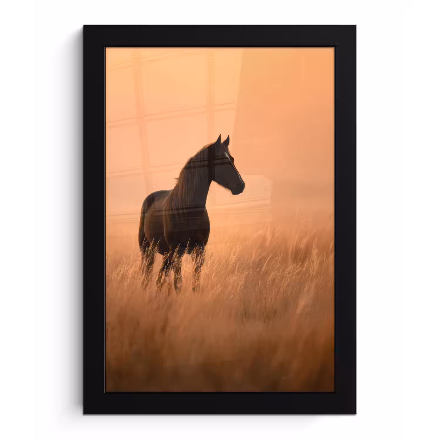 Paard - Grasveld - Zonsondergang fotolijst zwart zonder passe partout klein -3d