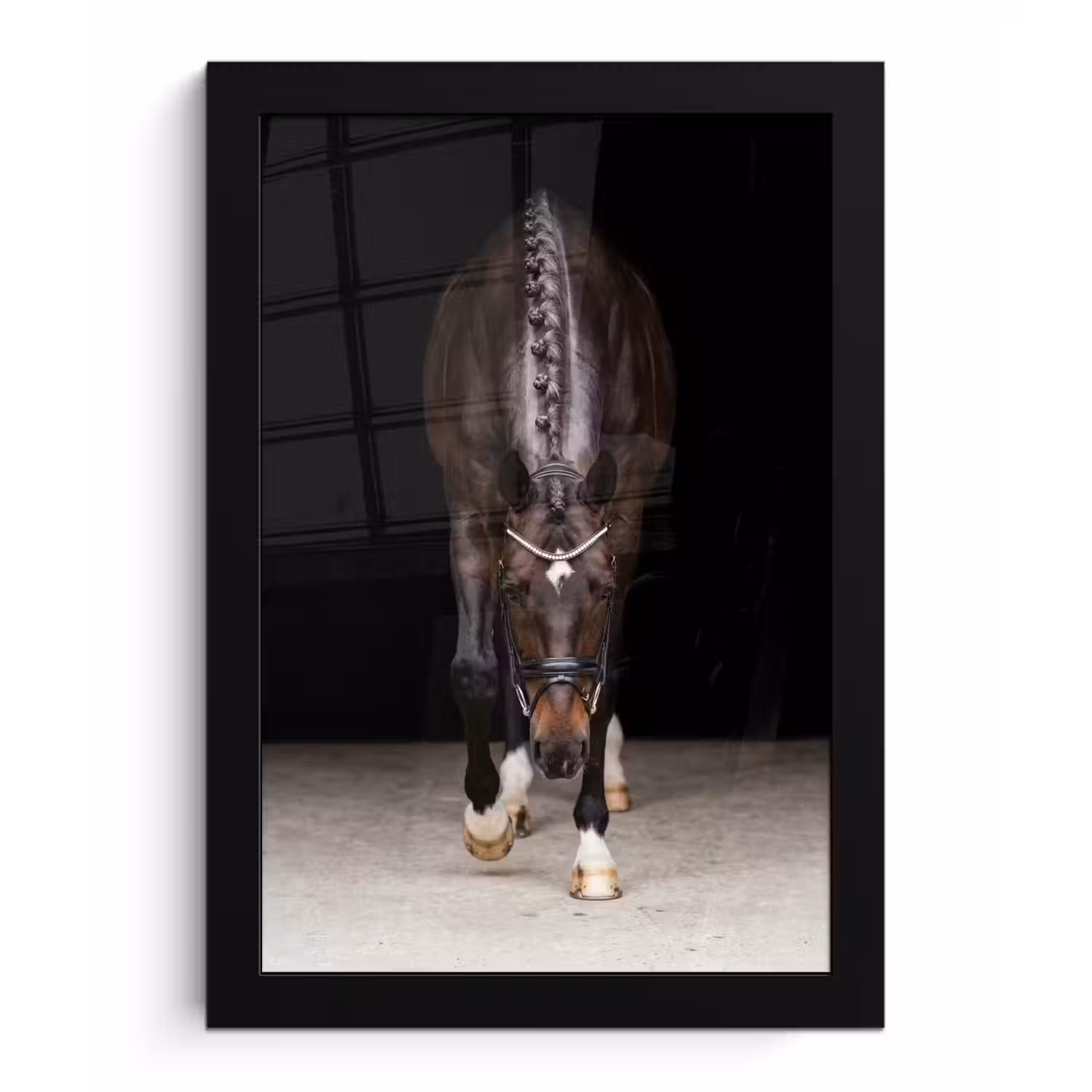 Paard - Modern - Portret fotolijst zwart zonder passe partout klein -3d