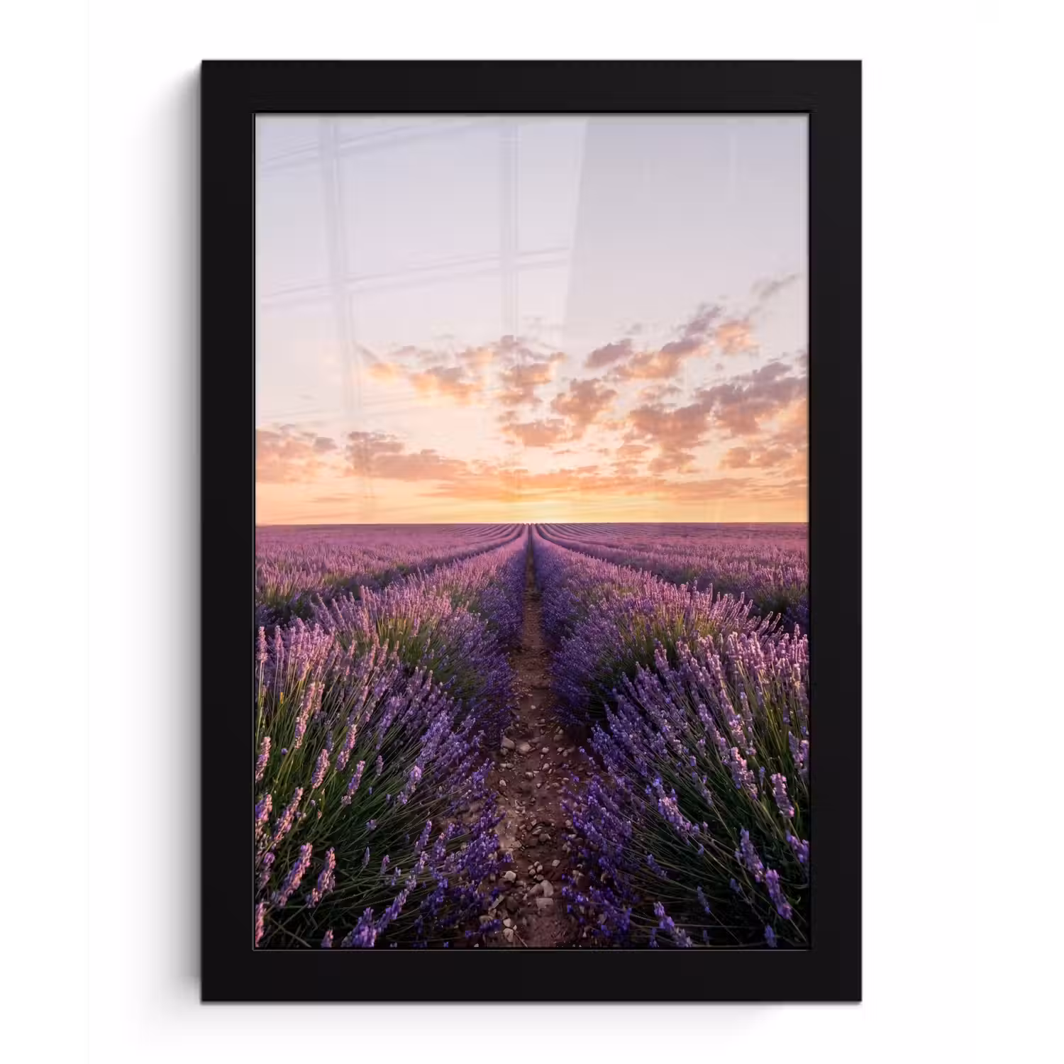 Landschap - Lavendelveld - Paars fotolijst zwart zonder passe partout klein -3d