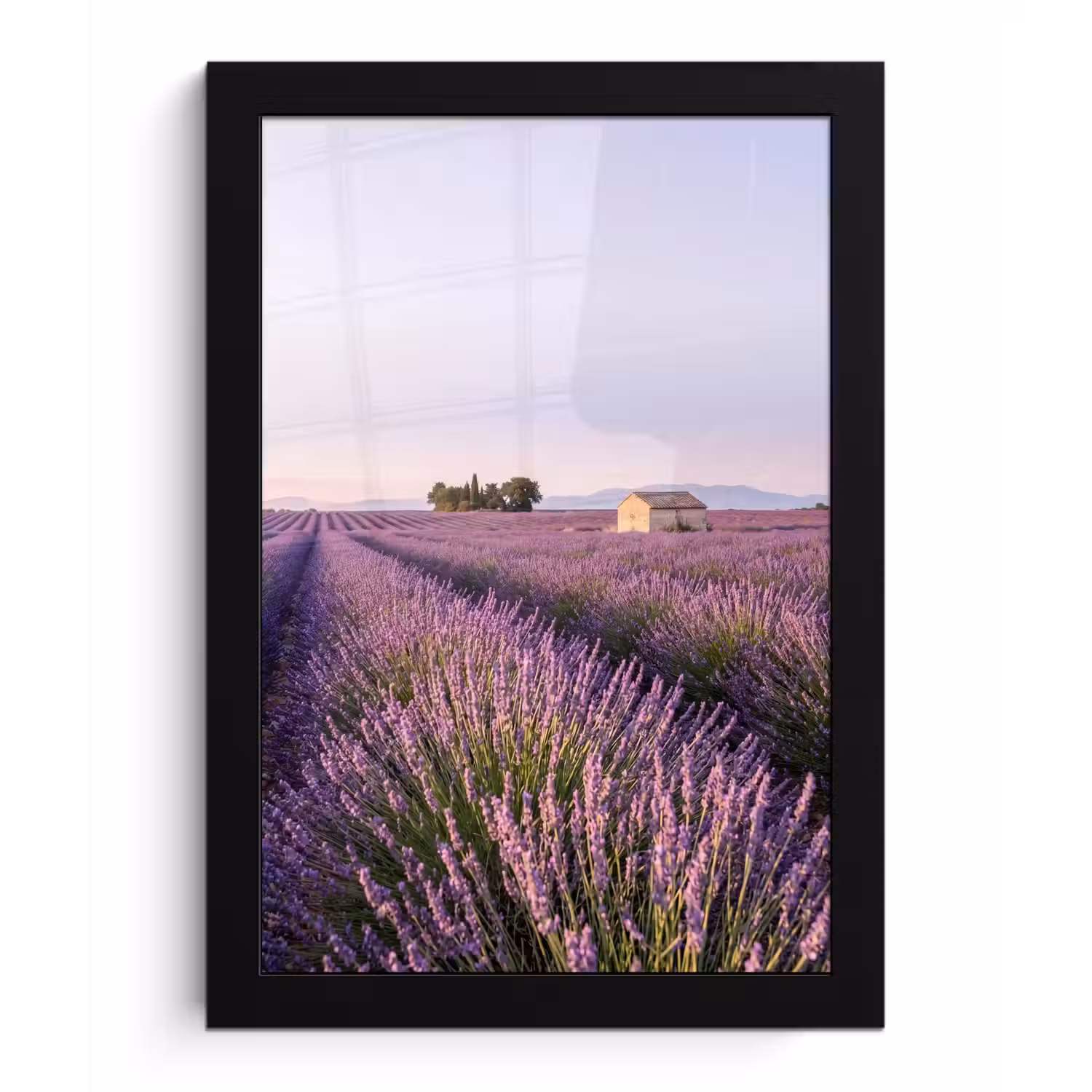 Lavendel - Landschap - Sereen - Paars fotolijst zwart zonder passe partout klein -3d