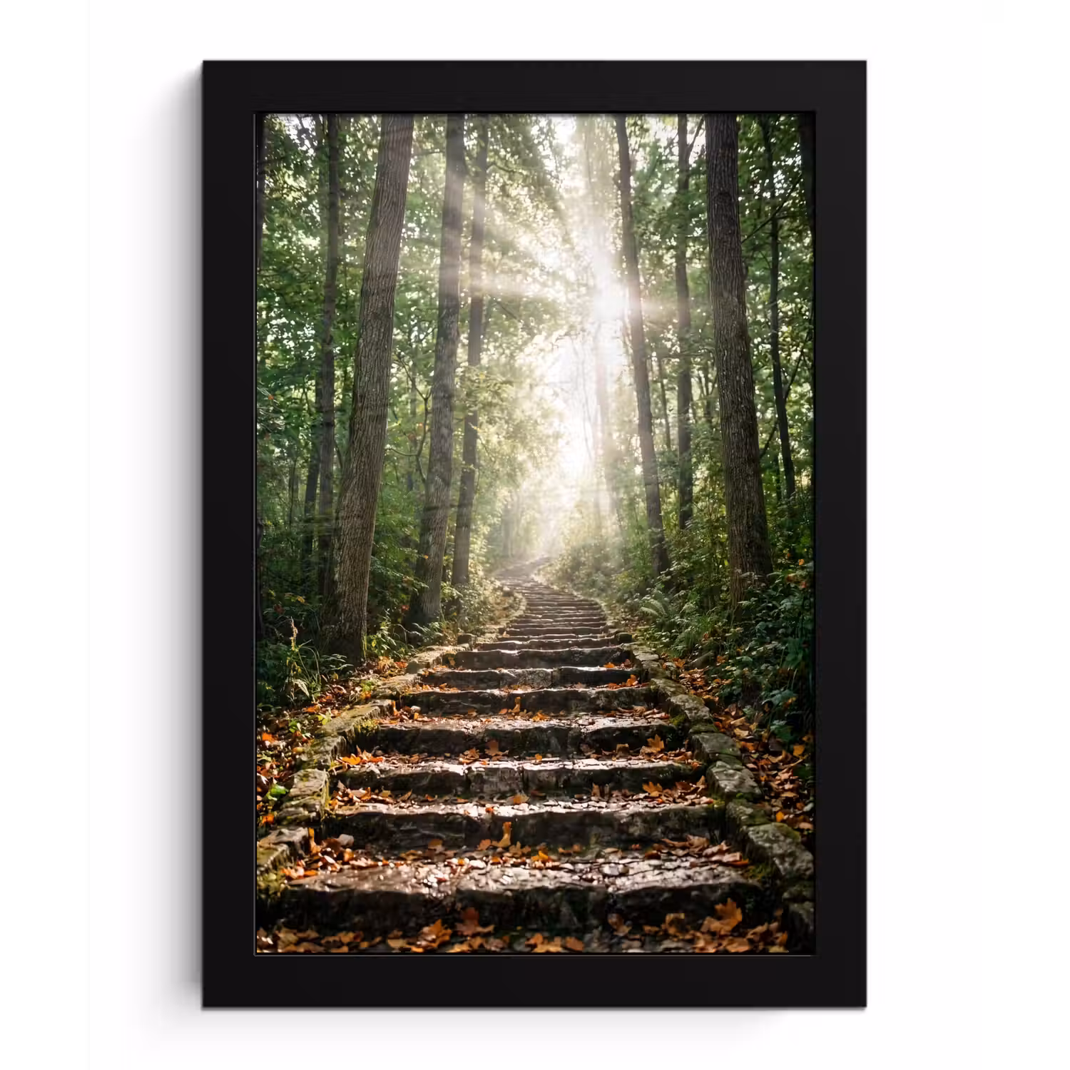 Stenen - Trap - Bos - Natuur fotolijst zwart zonder passe partout klein -3d