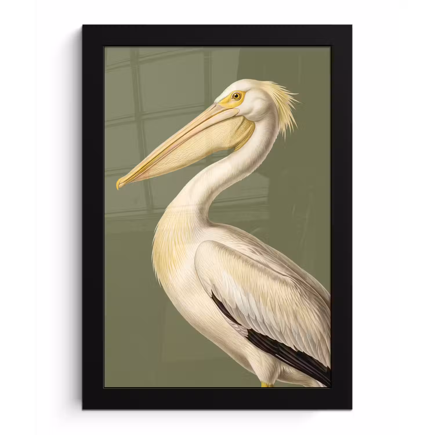 Pelikaan - Wit - Vogel - Klassiek - Natuur fotolijst zwart zonder passe partout klein -3d
