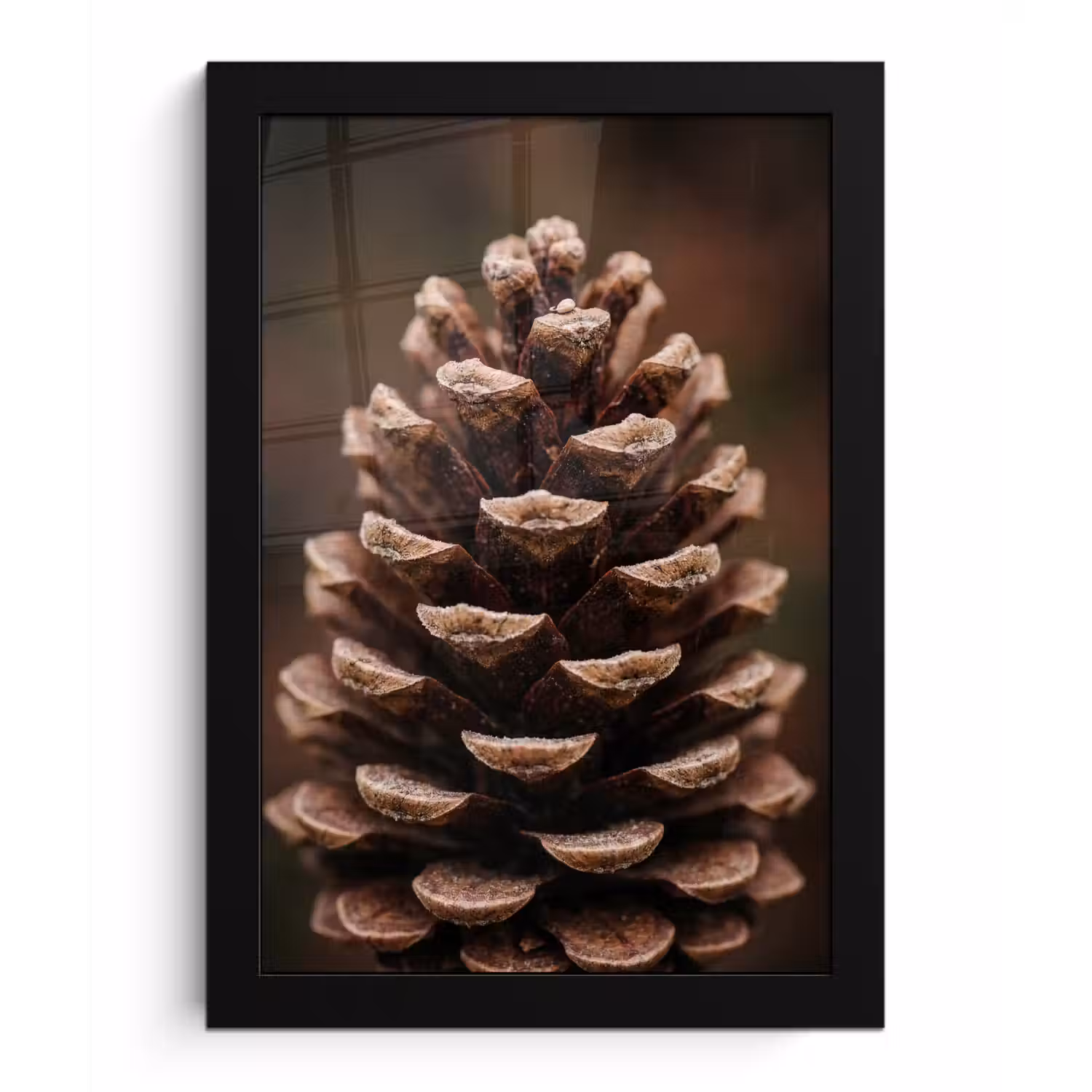 Dennenappel - Bos - Herfst - Bruin - Sfeervol fotolijst zwart zonder passe partout klein -3d