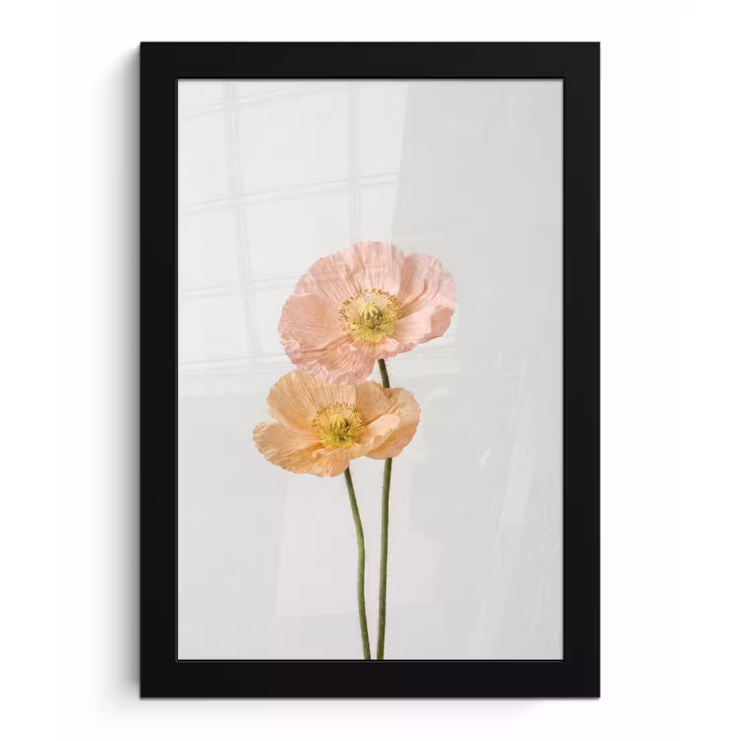 Papavers - Botanisch - Roze fotolijst zwart zonder passe partout klein -3d