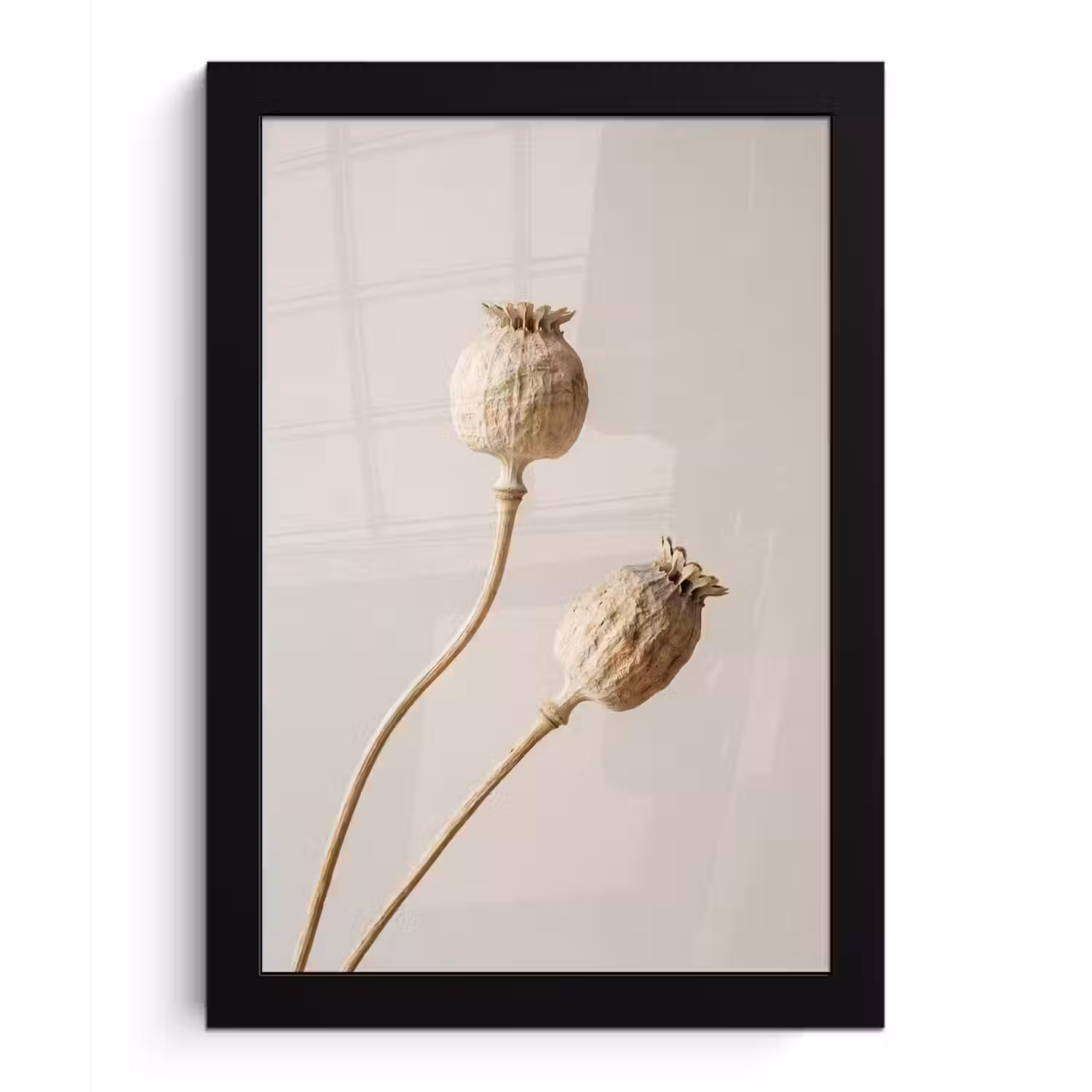 Papaverbollen - Droogbloemen - Minimalistisch - Beige - Rustig fotolijst zwart zonder passe partout klein -3d