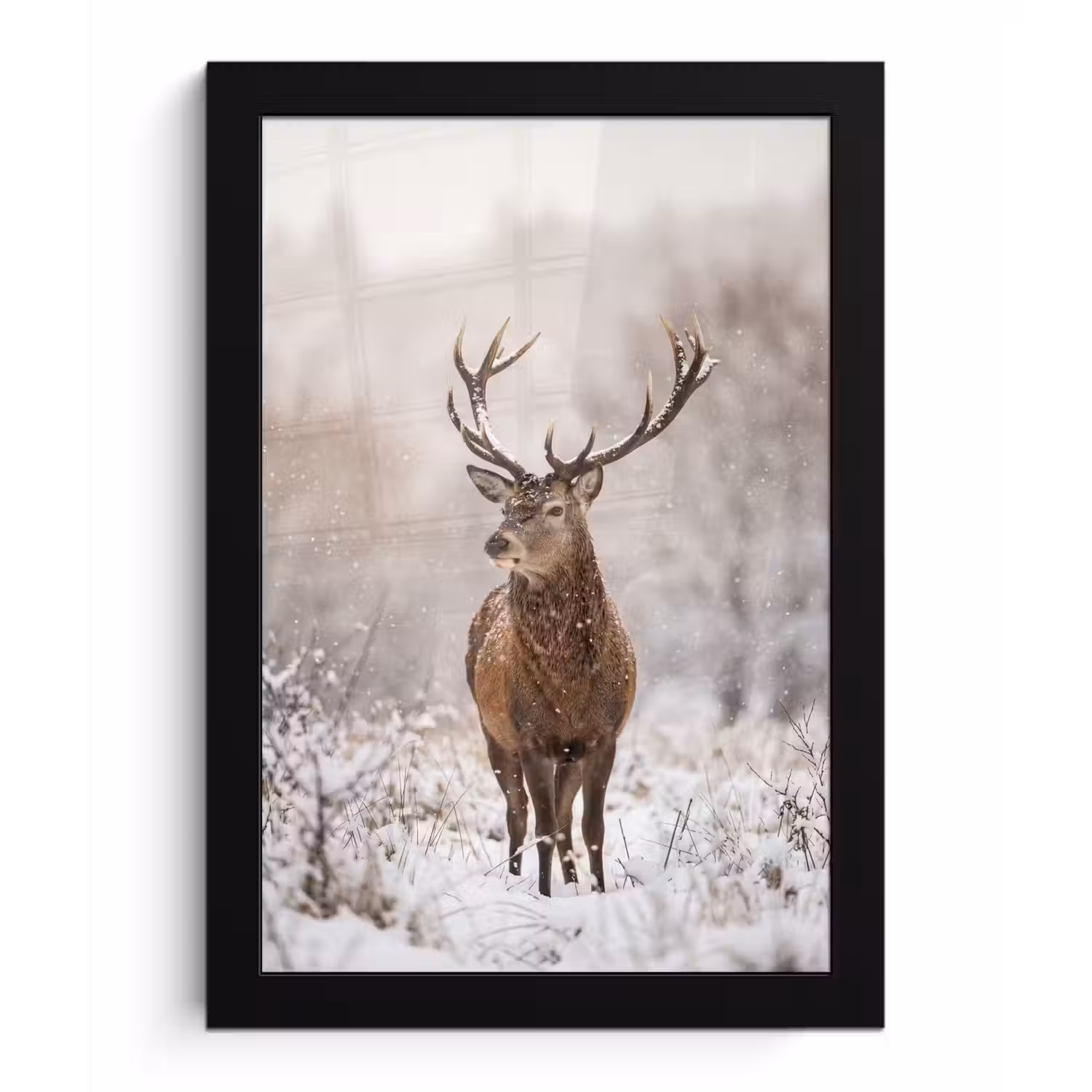 Edelhert - Bos - Sneeuw - Winter - Majestueus fotolijst zwart zonder passe partout klein -3d
