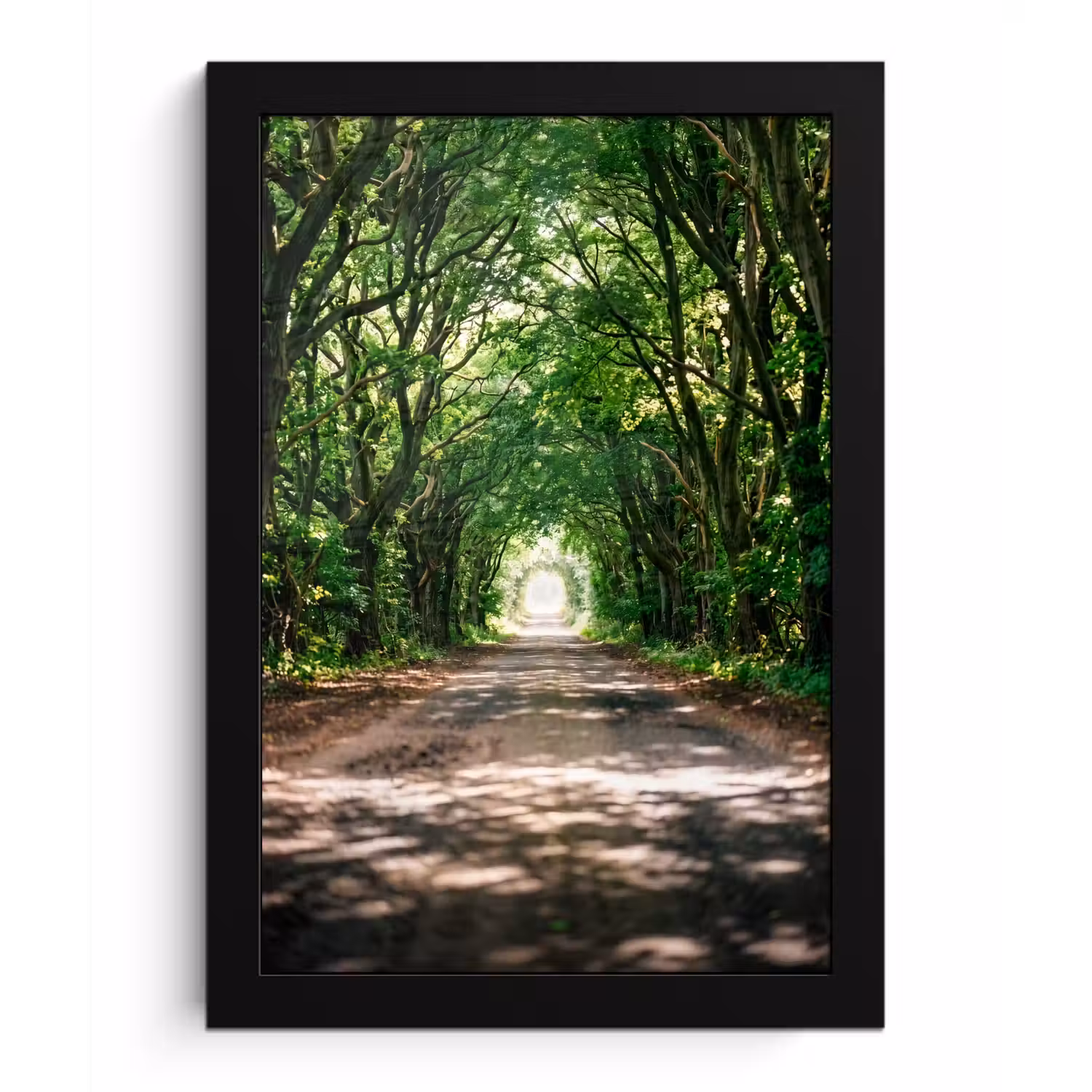 Weg - Bomen - Natuur - Groen fotolijst zwart zonder passe partout klein -3d