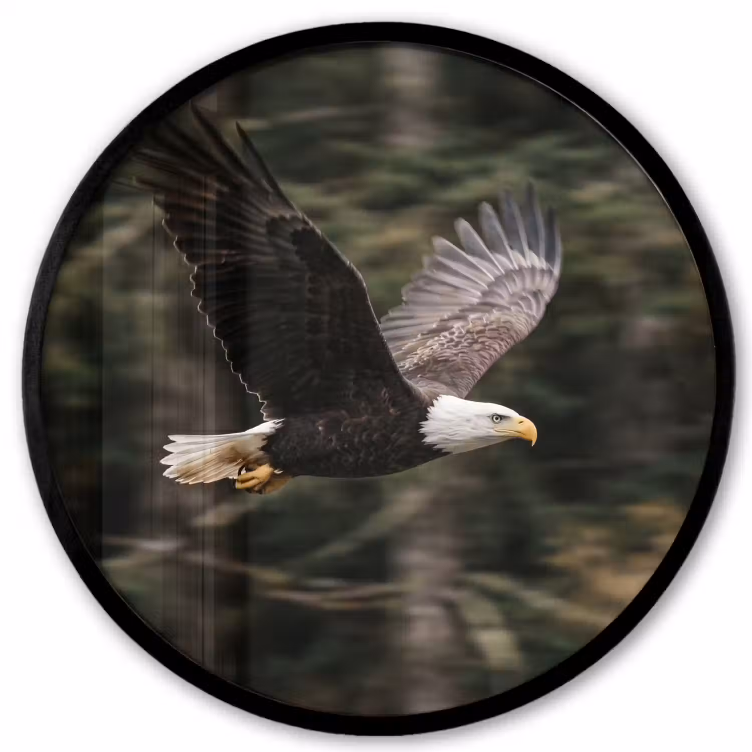 Zeearend - Vliegen - Bos - Natuur Fotolijst rond zonder passe partout klein -3d