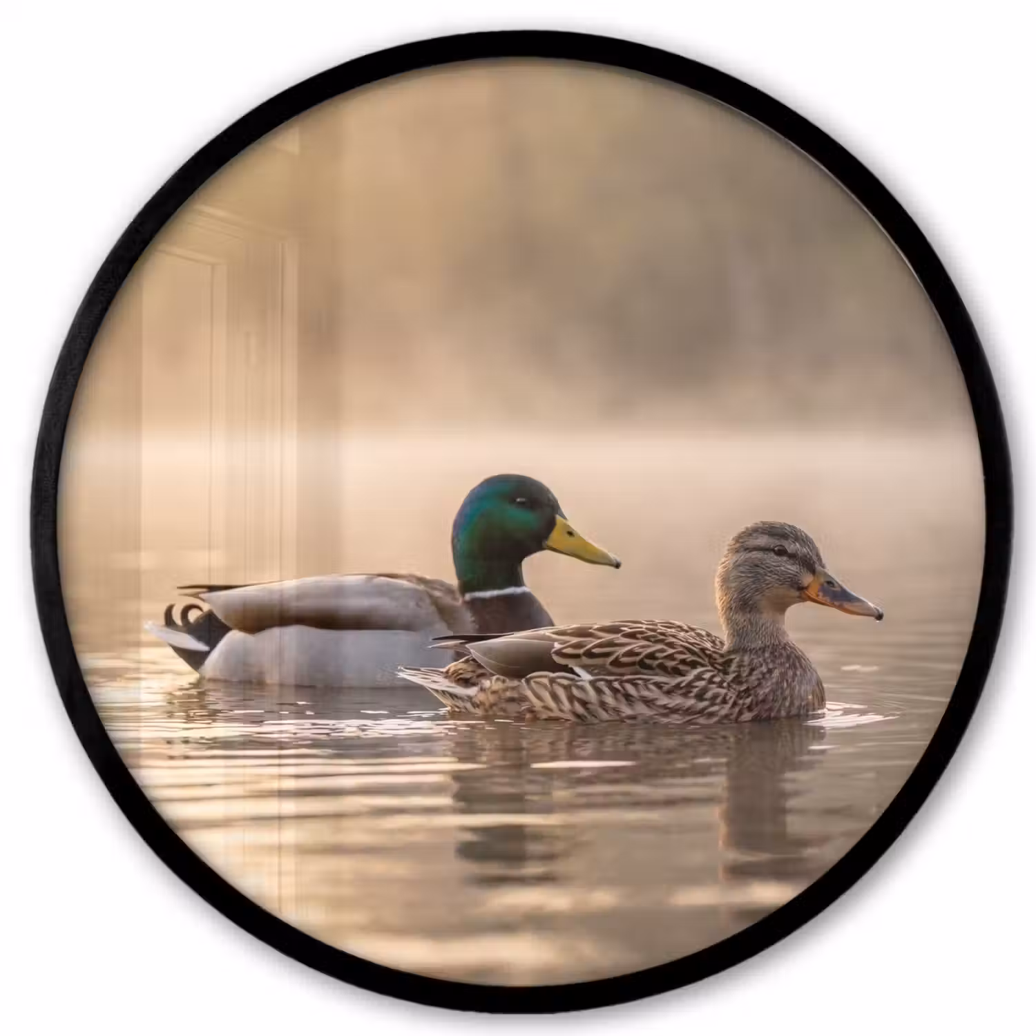 Eenden - Water - Mist - Natuur Fotolijst rond zonder passe partout klein -3d