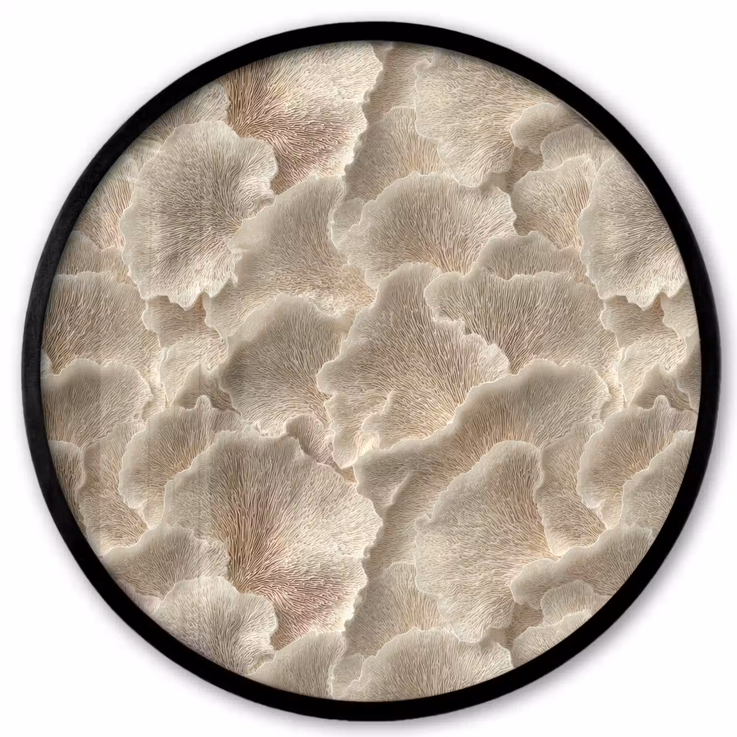 Waaierstructuren - Beige - Vezeltextuur Fotolijst rond zonder passe partout klein 856 -3d