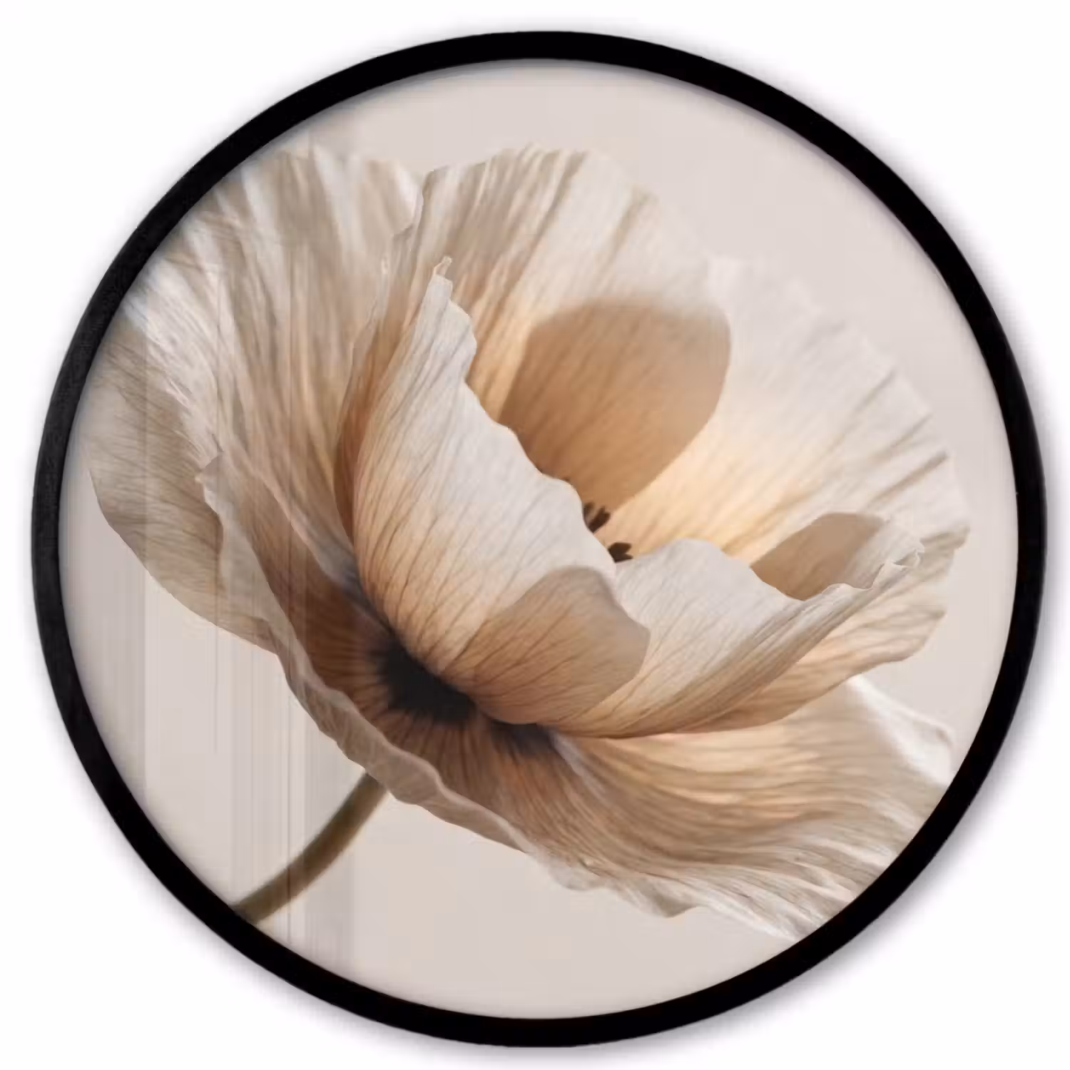 Bloem - Beige - Crème Fotolijst rond zonder passe partout klein -3d