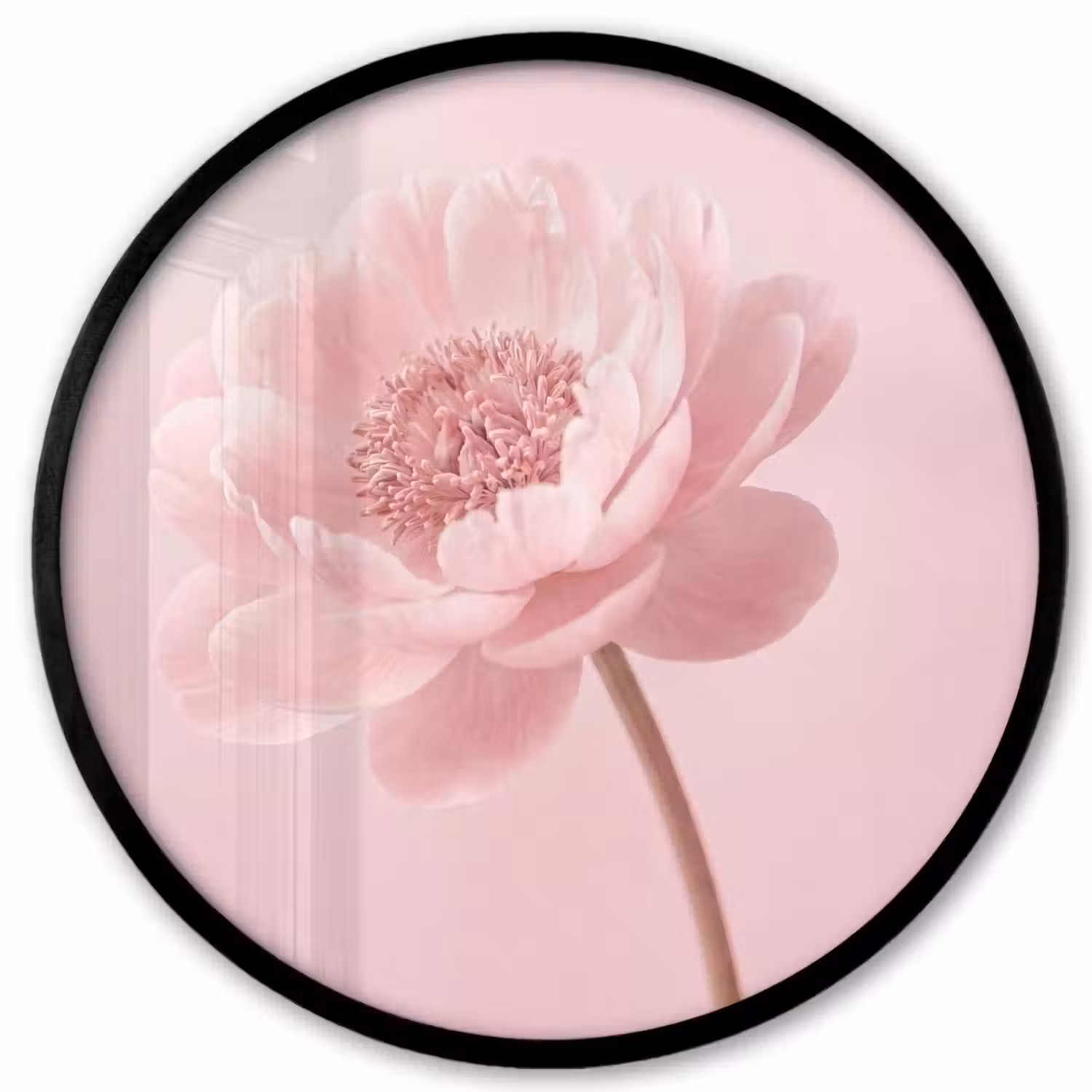 Bloem - Pioenroos - Roze Fotolijst rond zonder passe partout klein -3d