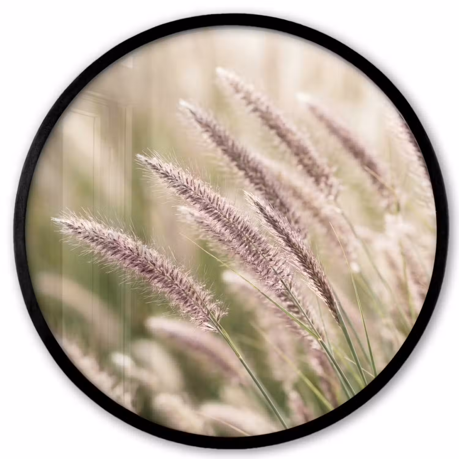 Gras - Close up - Groen Fotolijst rond zonder passe partout klein -3d