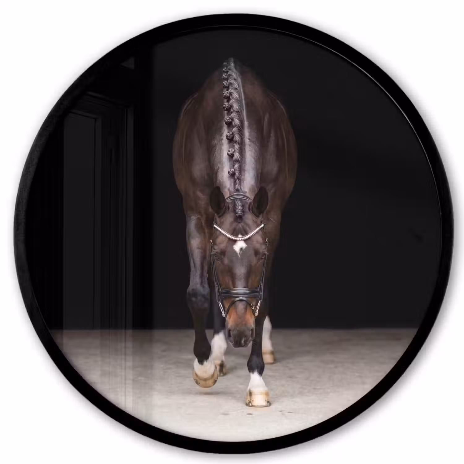 Paard - Modern - Portret Fotolijst rond zonder passe partout klein -3d
