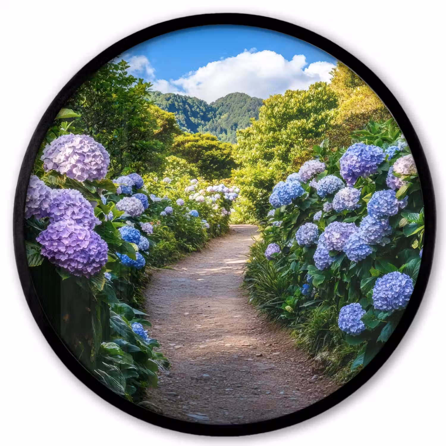 Hortsensia - Pad - Bloemen Fotolijst rond zonder passe partout klein -3d