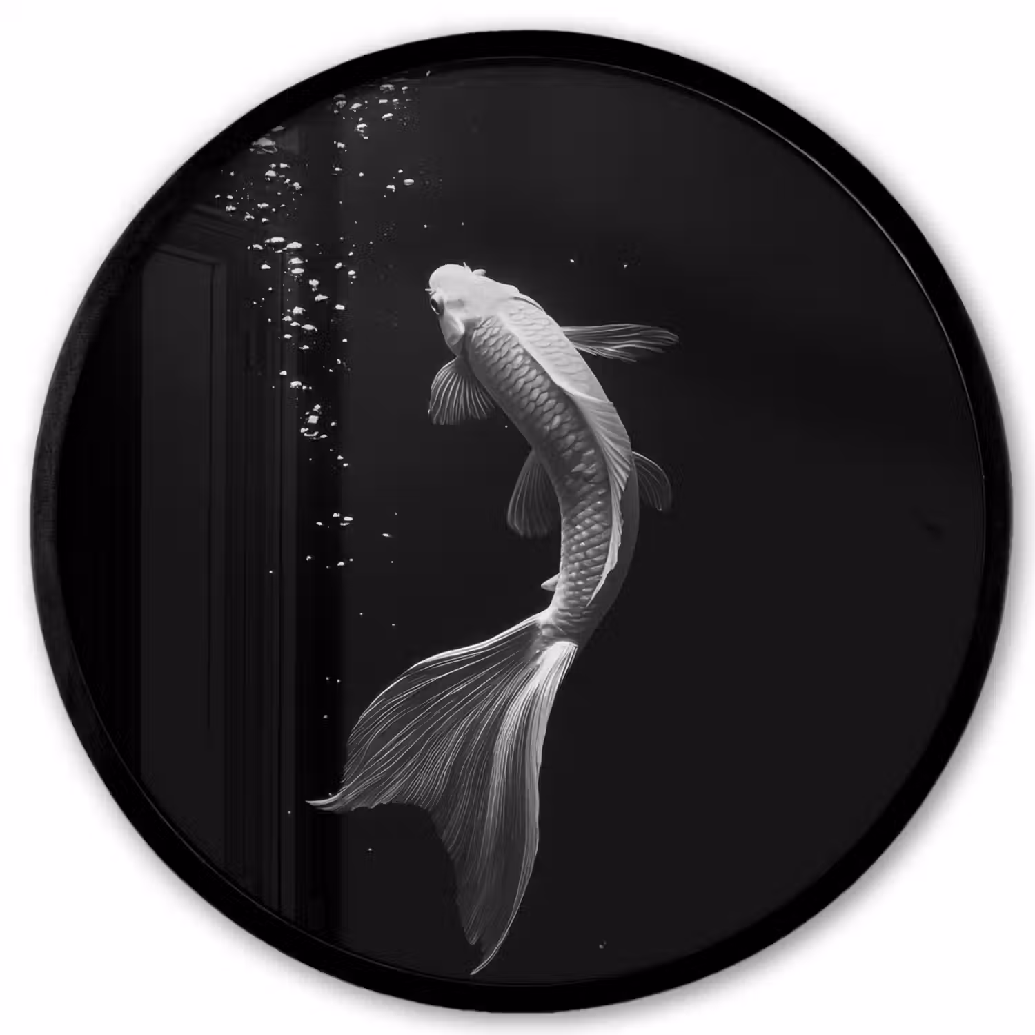 Koi - Vis - Wit - Zwart Fotolijst rond zonder passe partout klein -3d