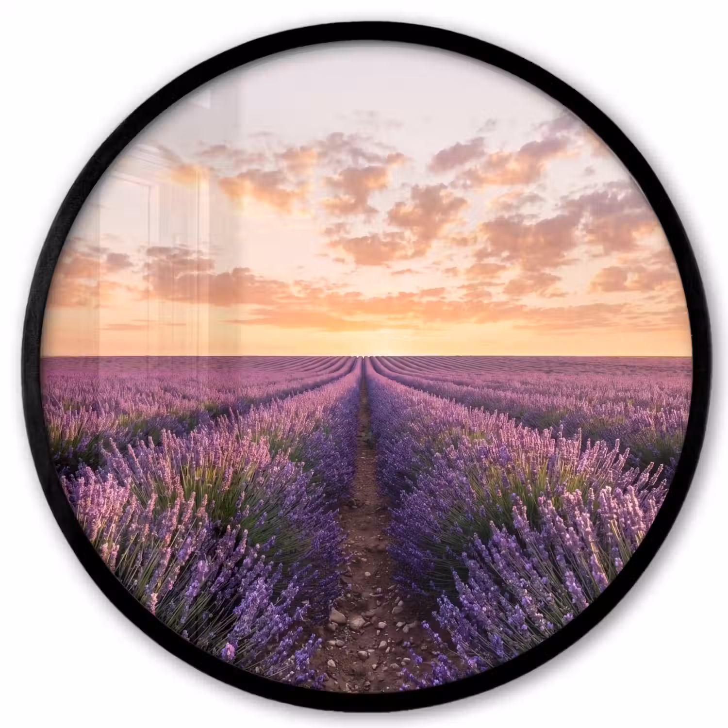 Landschap - Lavendelveld - Paars Fotolijst rond zonder passe partout klein -3d