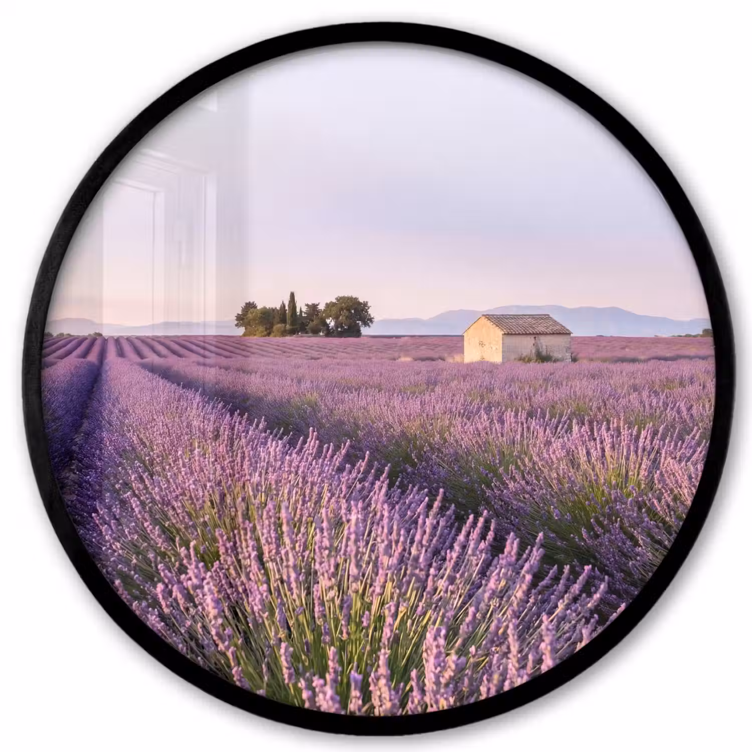 Lavendel - Landschap - Sereen - Paars Fotolijst rond zonder passe partout klein -3d