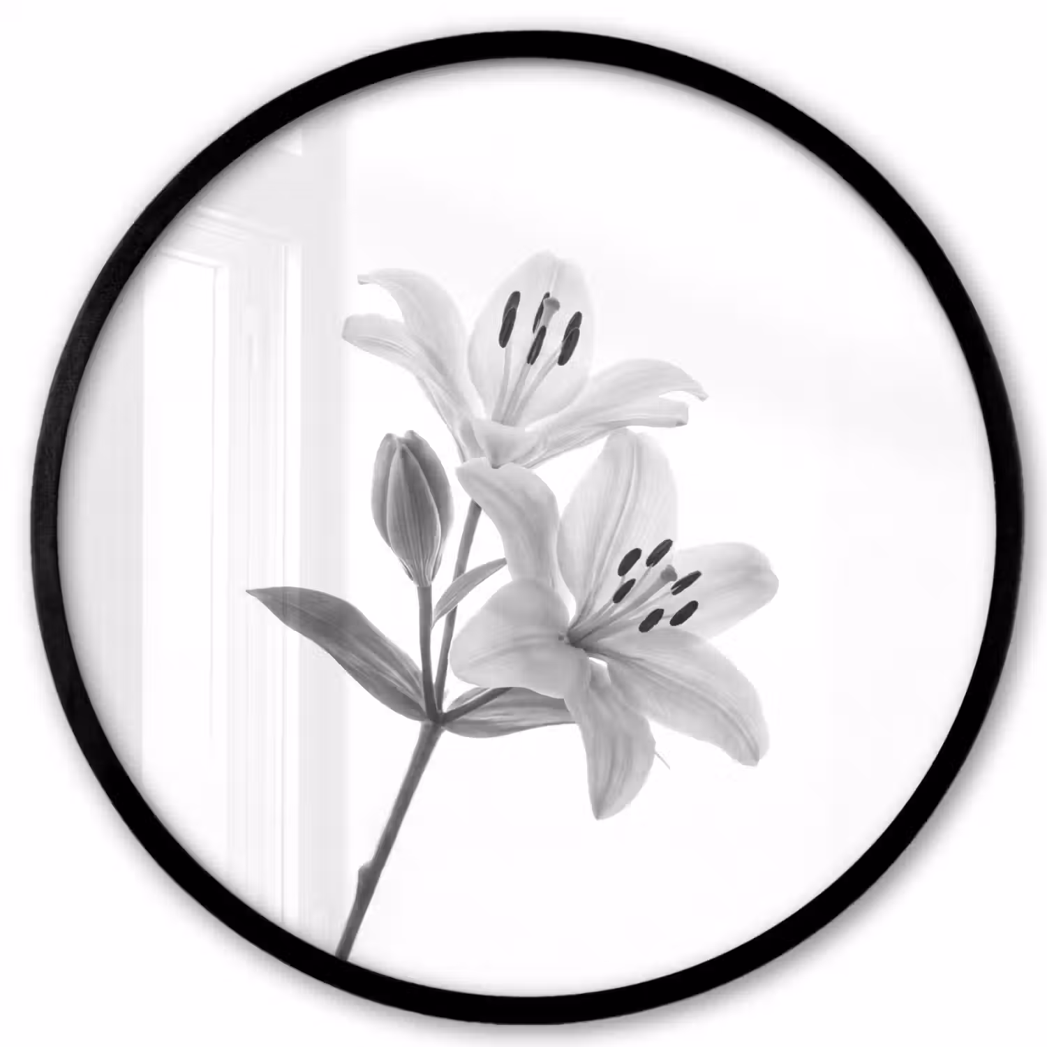 Lelies - Elegant - Zwart - Wit Fotolijst rond zonder passe partout klein -3d