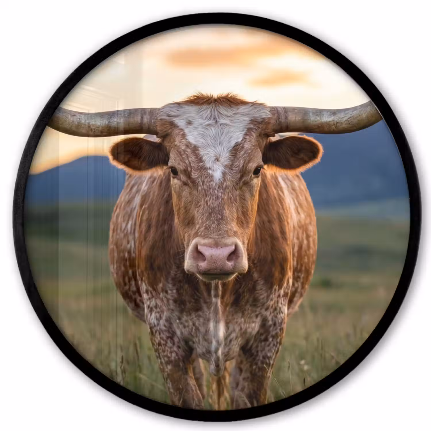 Longhorn - Landschap - Zonsondergang Fotolijst rond zonder passe partout klein -3d