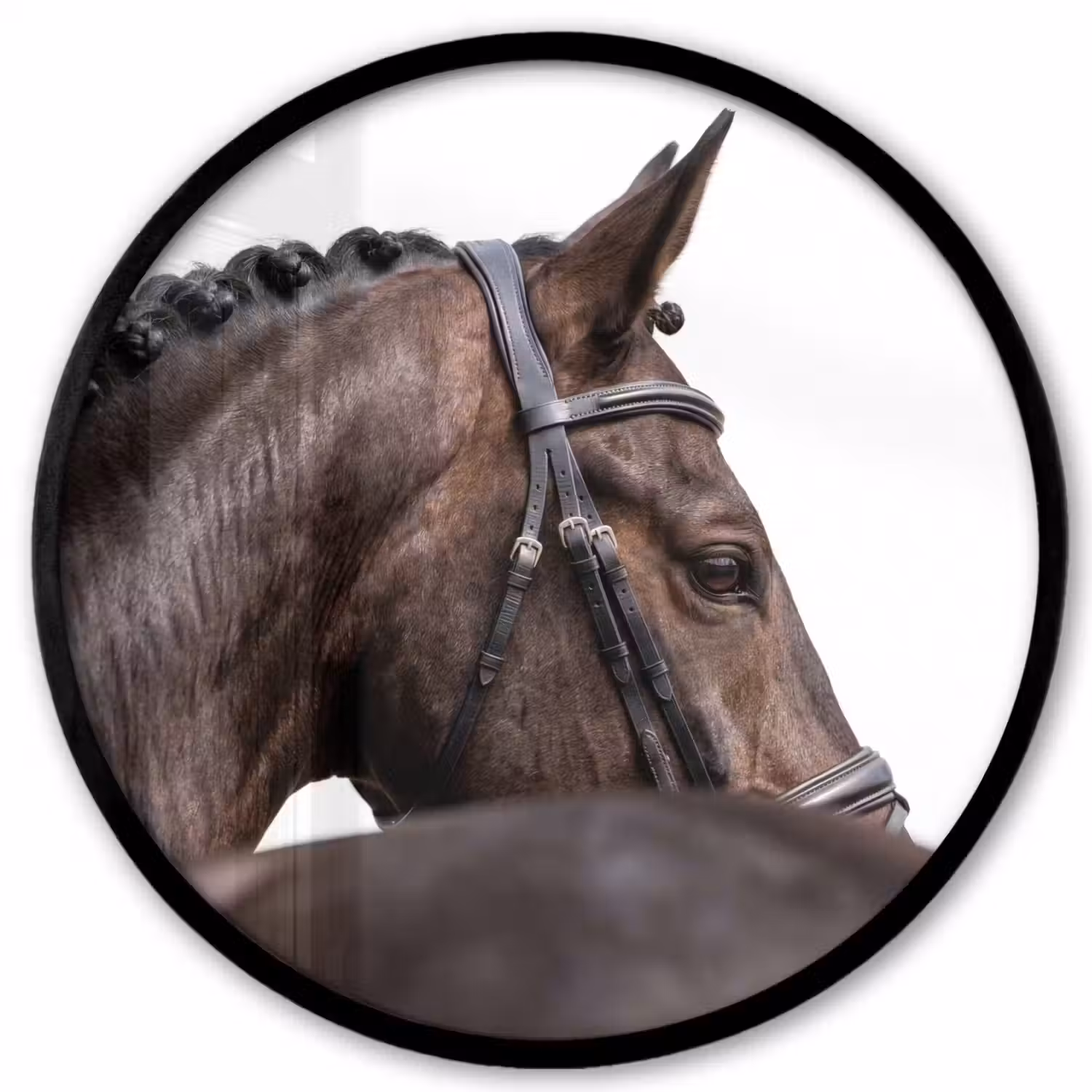 Portret - Paard - Elegant Fotolijst rond zonder passe partout klein -3d