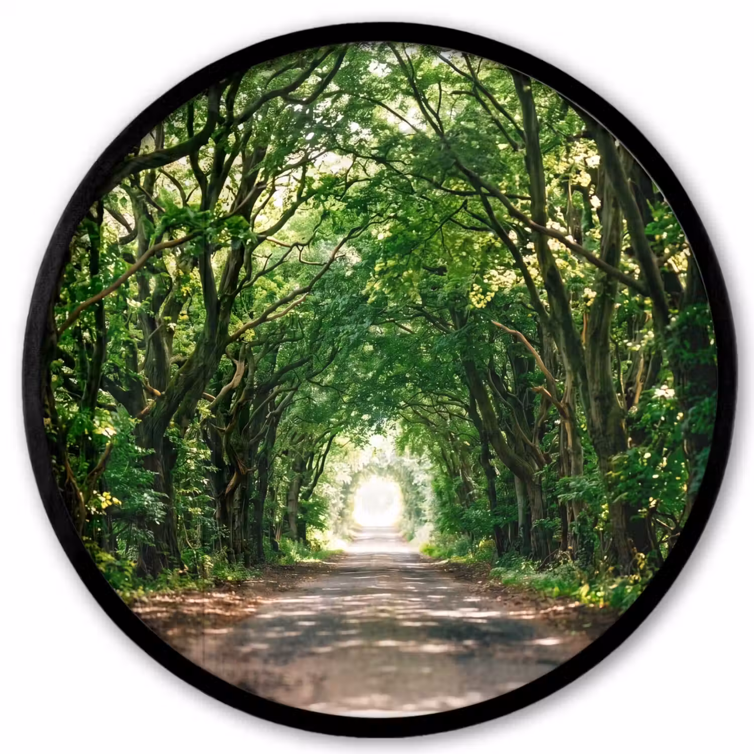 Weg - Bomen - Natuur - Groen Fotolijst rond zonder passe partout klein -3d