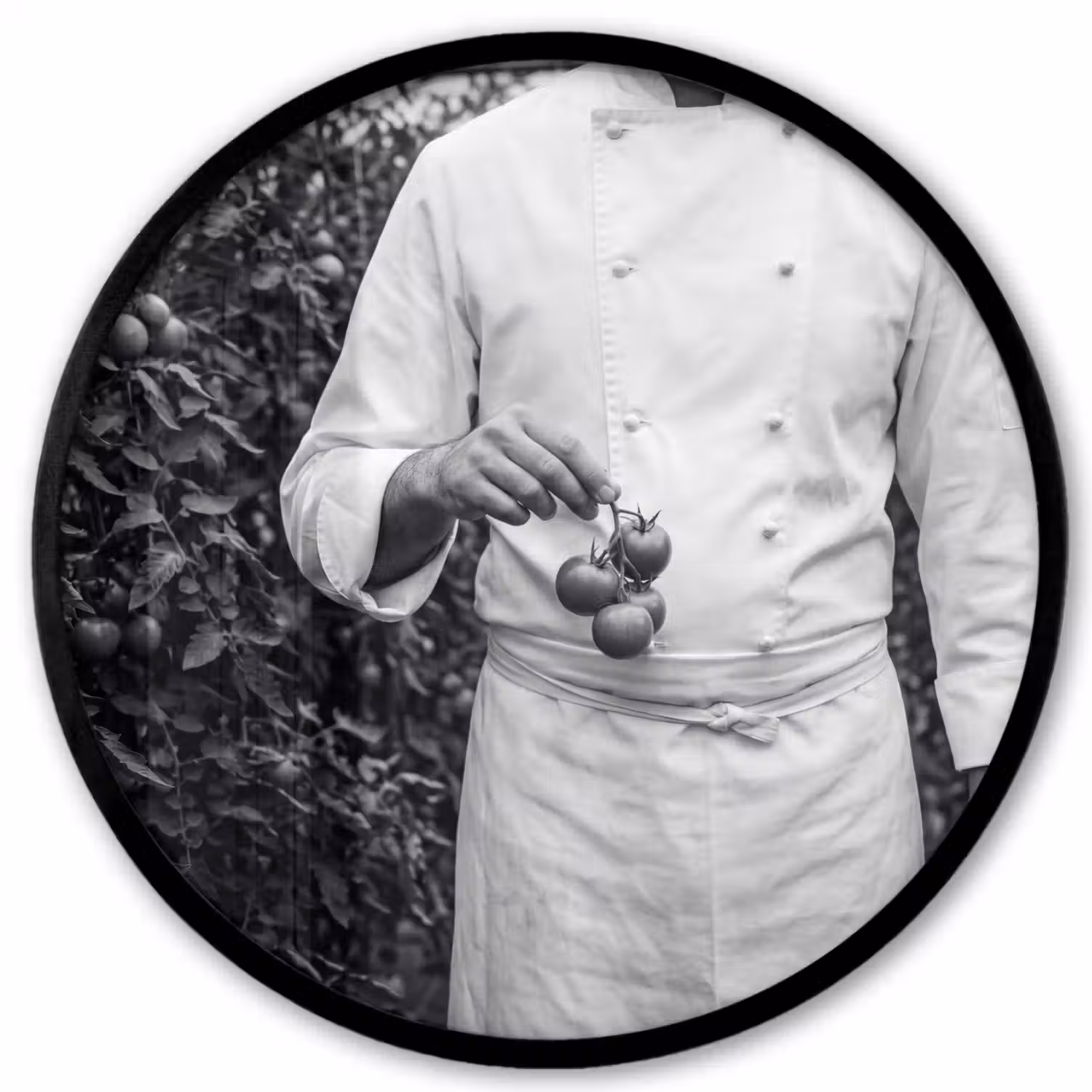 Tomaten - Chef - Zwart - Wit Fotolijst rond zonder passe partout klein -3d