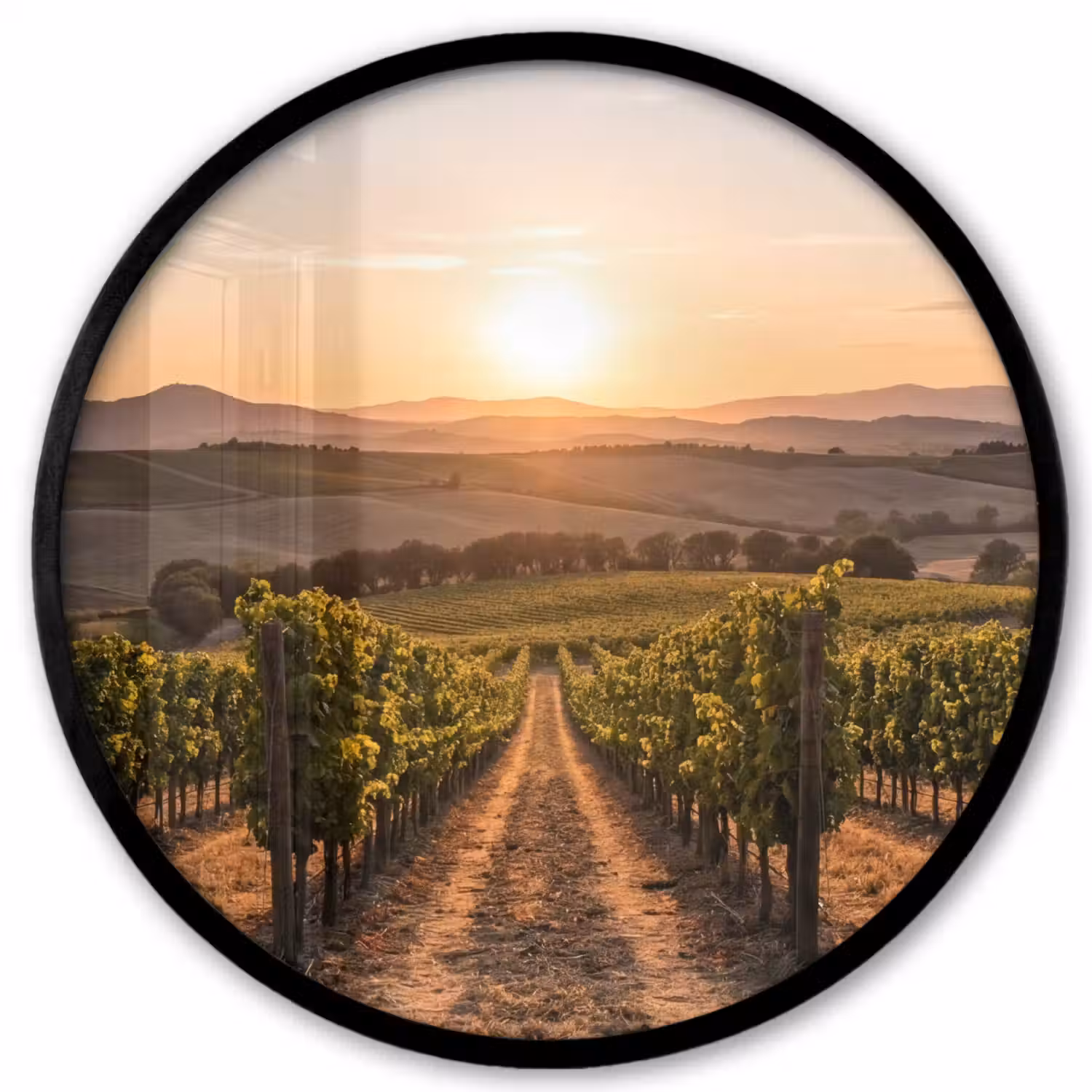 Wijngaard - Zonsondergang - Landschap Fotolijst rond zonder passe partout klein -3d