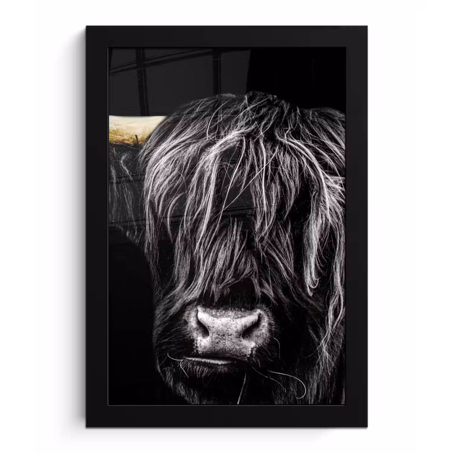 Schotse hooglander - Goud - Vacht - Dieren - Koe fotolijst zwart zonder passe partout klein -3d