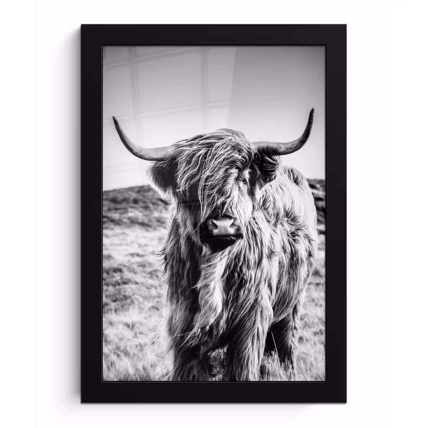 Schotse hooglander - Natuur - Koe - Zwart - Wit fotolijst zwart zonder passe partout klein -3d