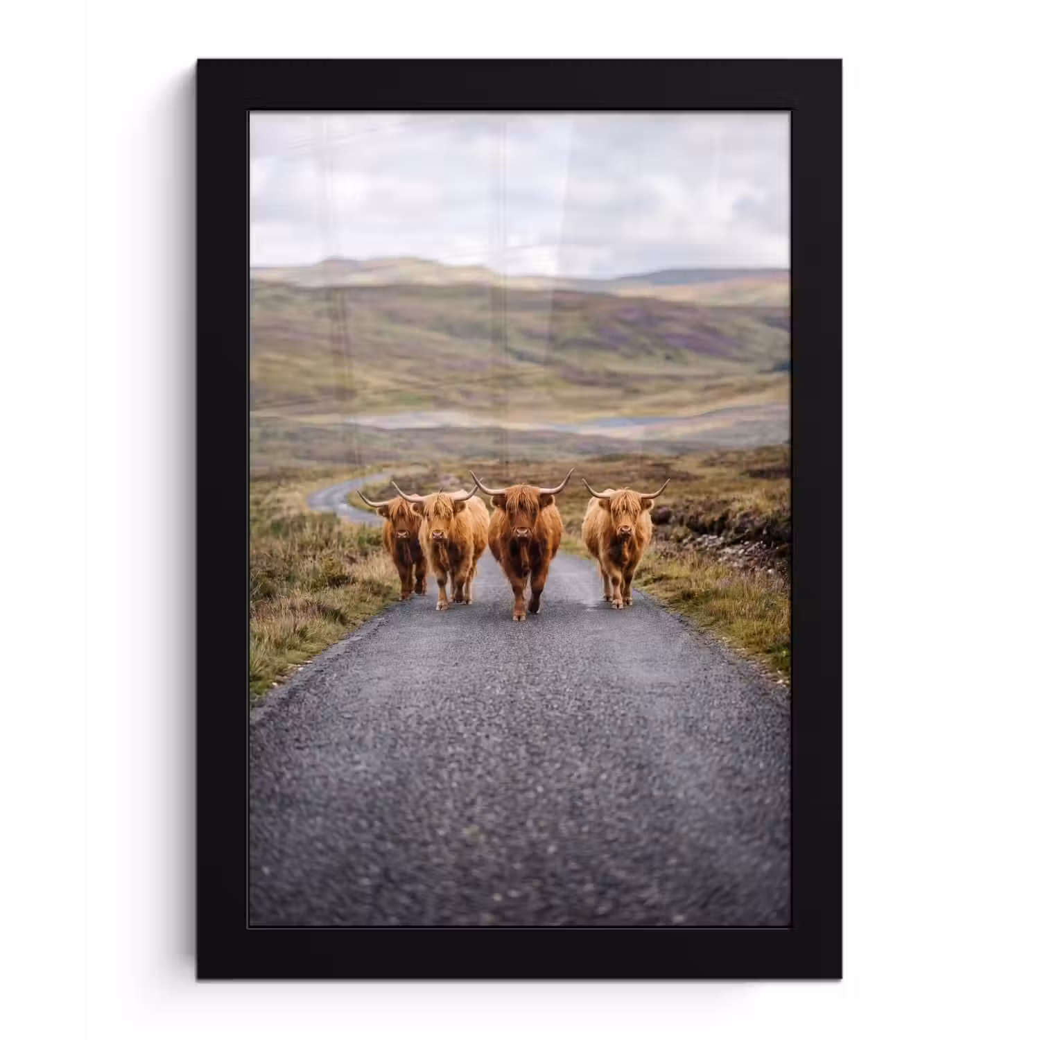 Schotse Hooglanders - Weg - Landschap - Kudde fotolijst zwart zonder passe partout klein -3d