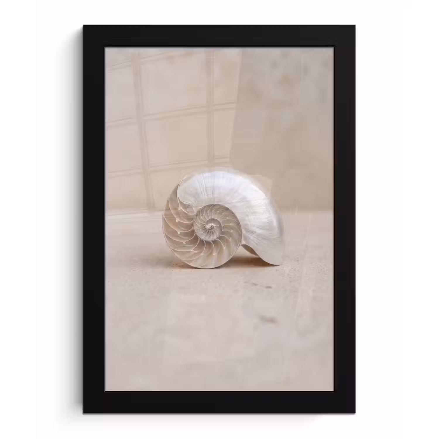 Schelp - Spiraal - Beige fotolijst zwart zonder passe partout klein -3d