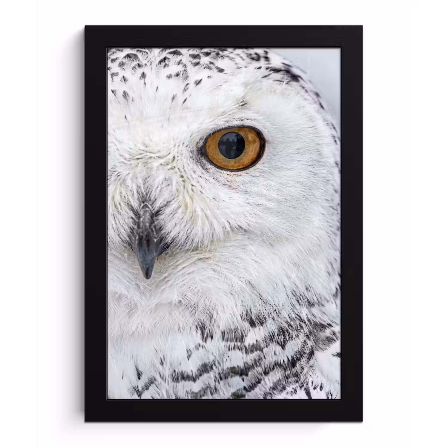 Sneeuwuil - Oog - Wildlife - Wit fotolijst zwart zonder passe partout klein -3d