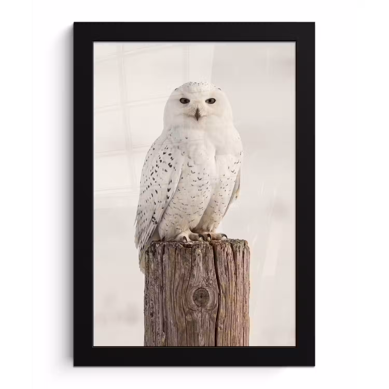 Sneeuwuil - Paal - Winter - Portret - Majestueus fotolijst zwart zonder passe partout klein -3d