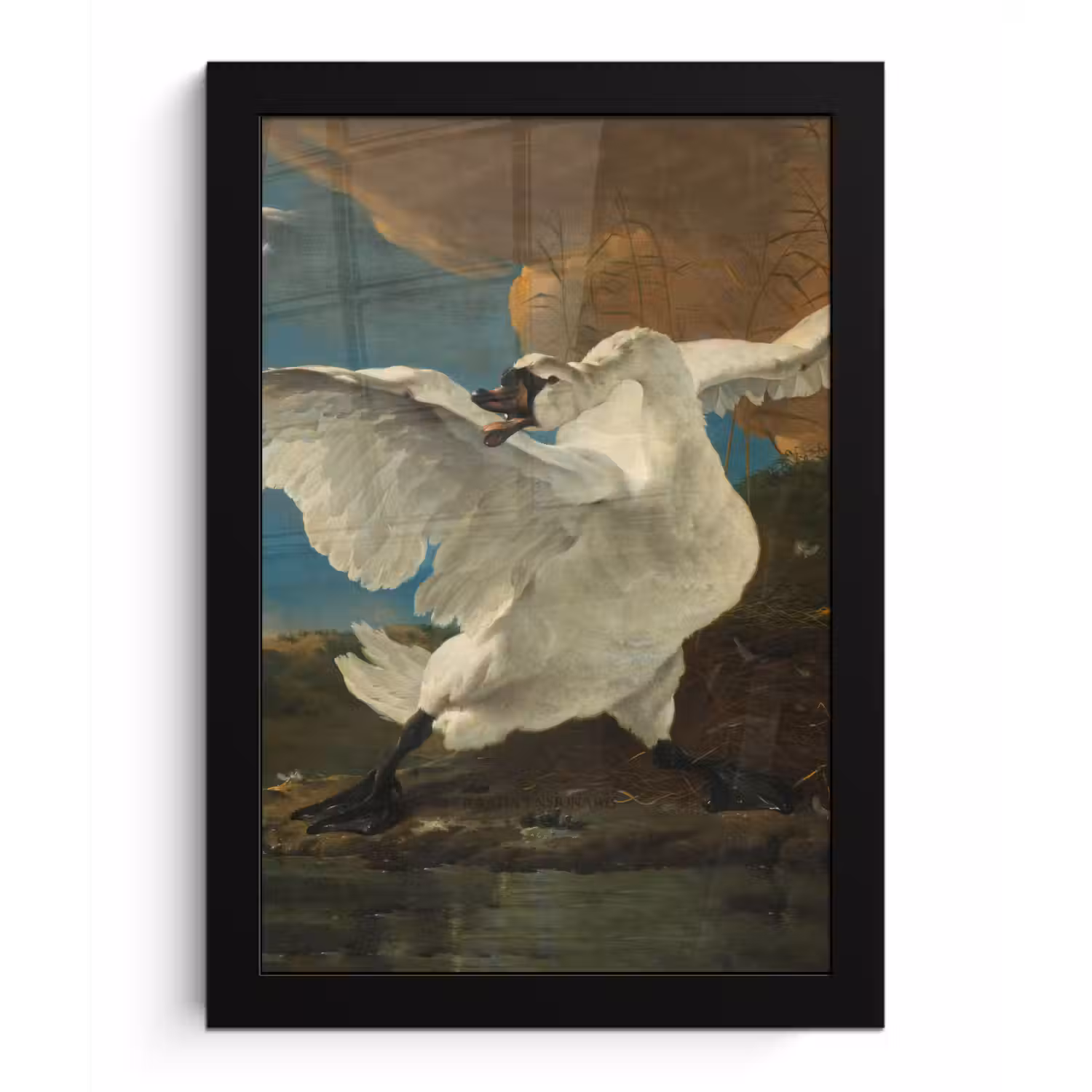 De bedreigde zwaan - Schilderij van Jan Asselijn fotolijst zwart zonder passe partout klein -3d