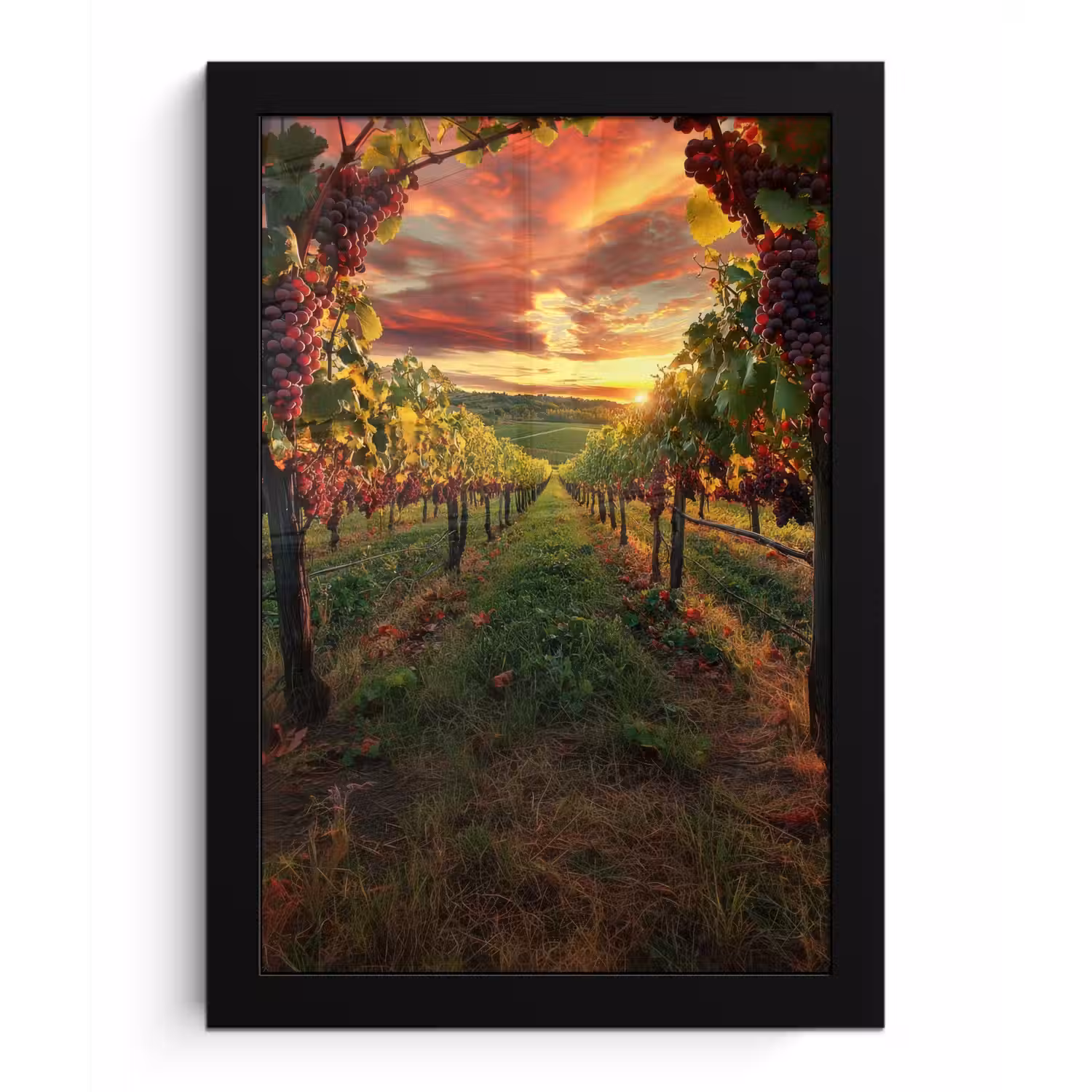 Wijngaard - Druiven - Zonsondergang fotolijst zwart zonder passe partout klein -3d