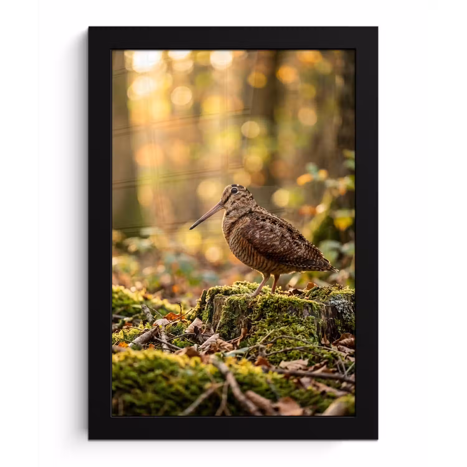 Houtsnip - Bos - Bladeren - Herfst - Gecamoufleerd fotolijst zwart zonder passe partout klein -3d