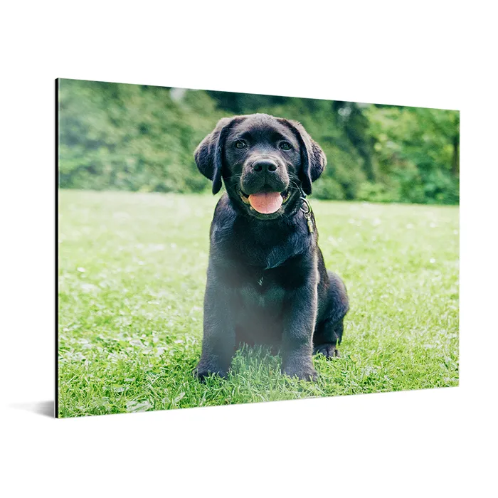 aluminium-product-5.png