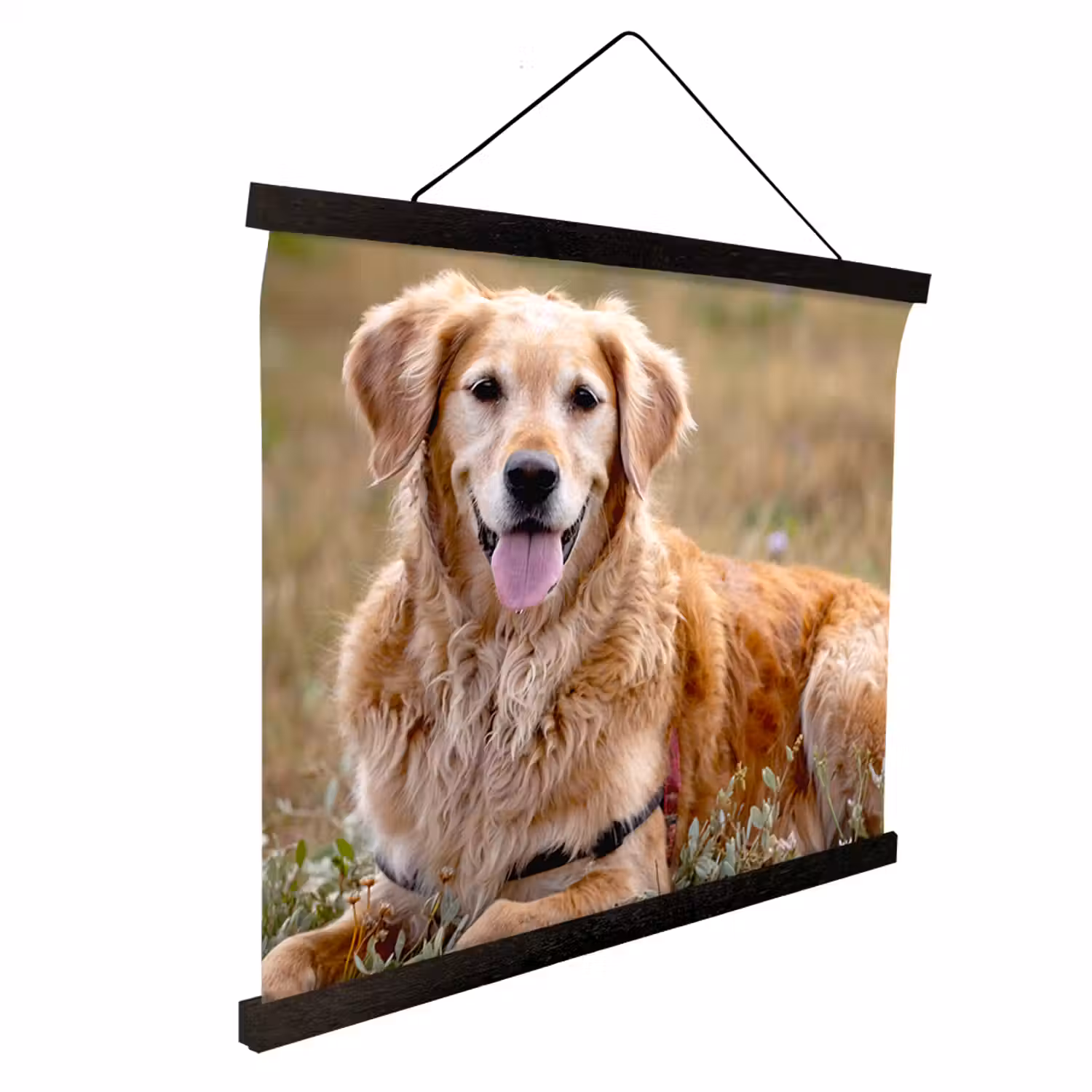 schoolplaat-product.png