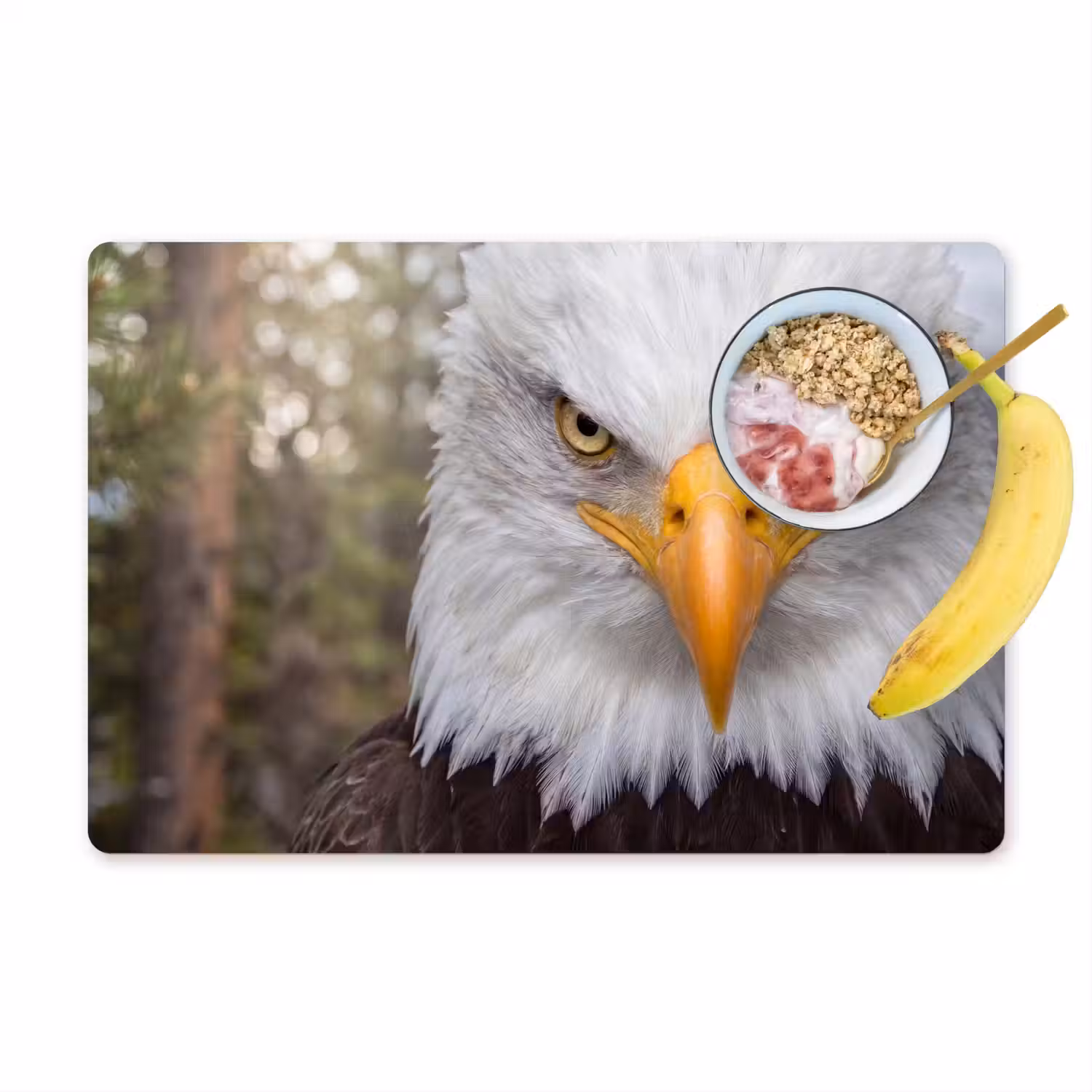 Amerikaans - Zeearend - Portret - Geel Placemat vinyl groot -zzzproduct_Kitchenyeah-website
