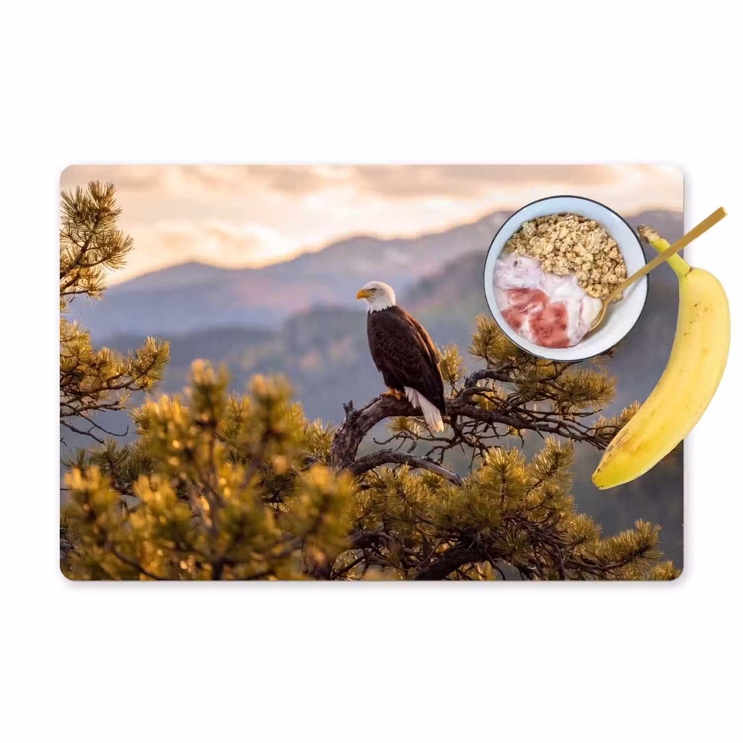 Zeearend - Boom - Bergen - Groen Placemat vinyl groot -zzzproduct_Kitchenyeah-website