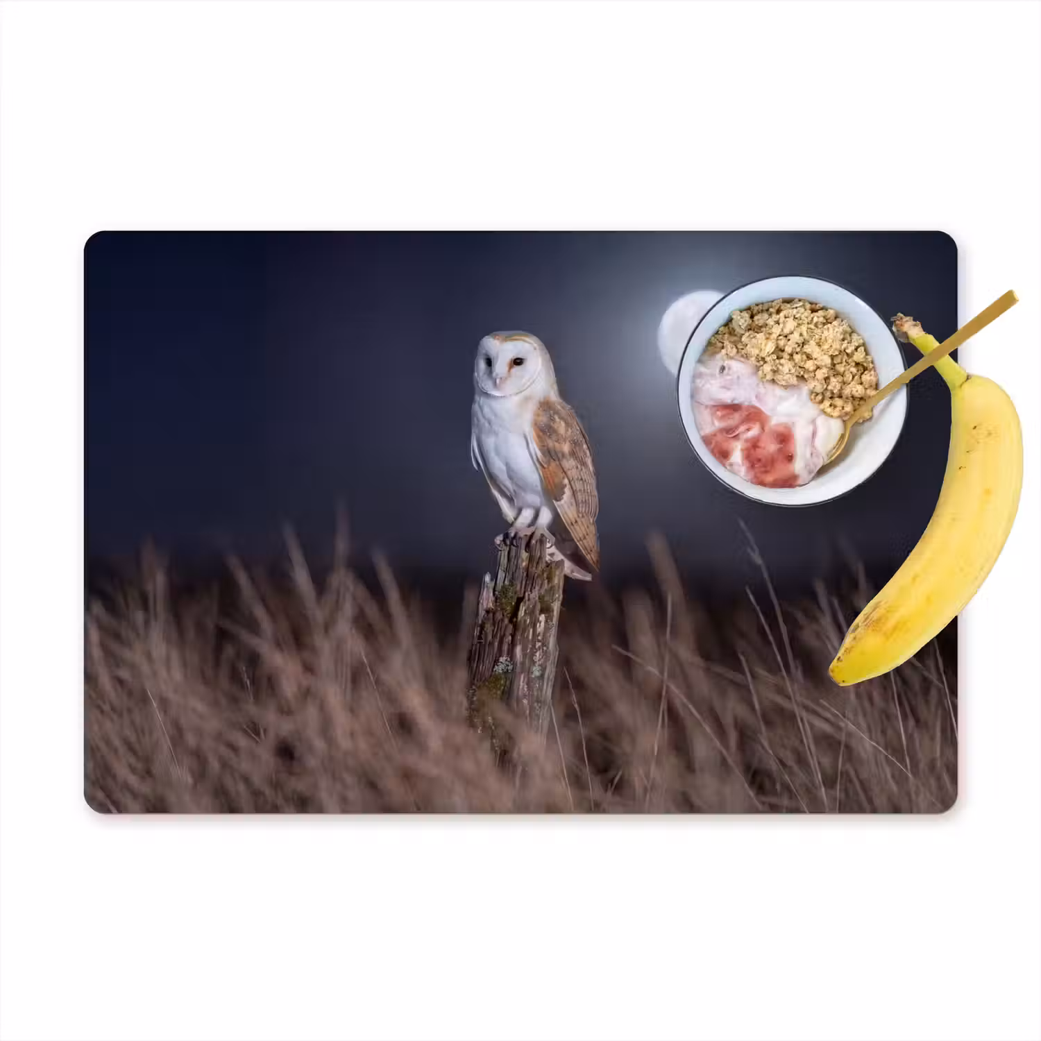 Kerkuil - Maan - Nacht Placemat vinyl groot -zzzproduct_Kitchenyeah-website