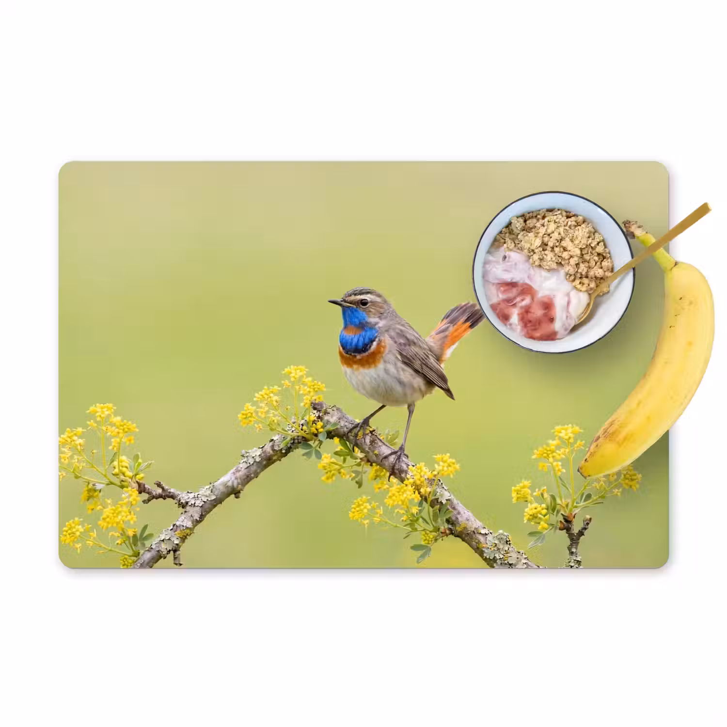 Vogel - Tak - Natuur - Kleurrijk Placemat vinyl groot -zzzproduct_Kitchenyeah-website