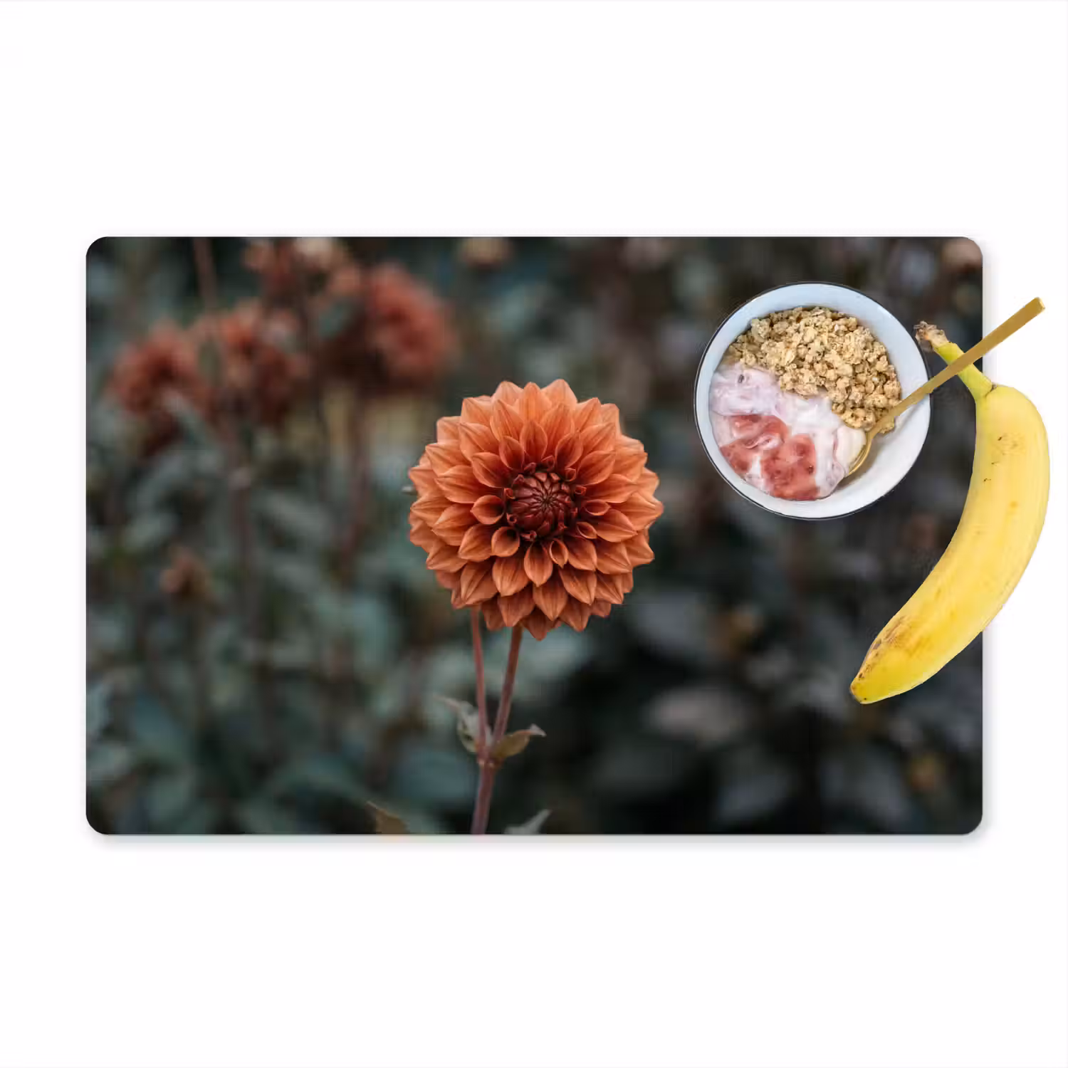 Dahlia - Bloem - Natuur - Sfeervol Placemat vinyl groot -zzzproduct_Kitchenyeah-website