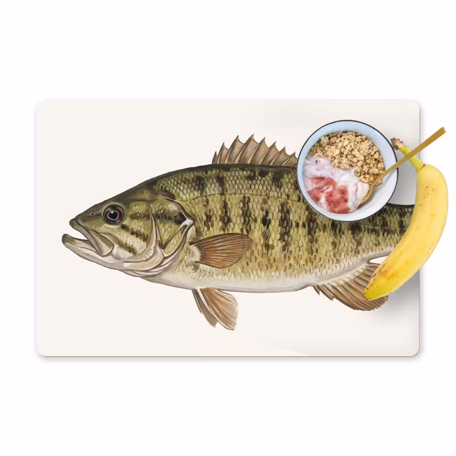 Vissen - Natuur - Vintage Placemat vinyl groot -zzzproduct_Kitchenyeah-website