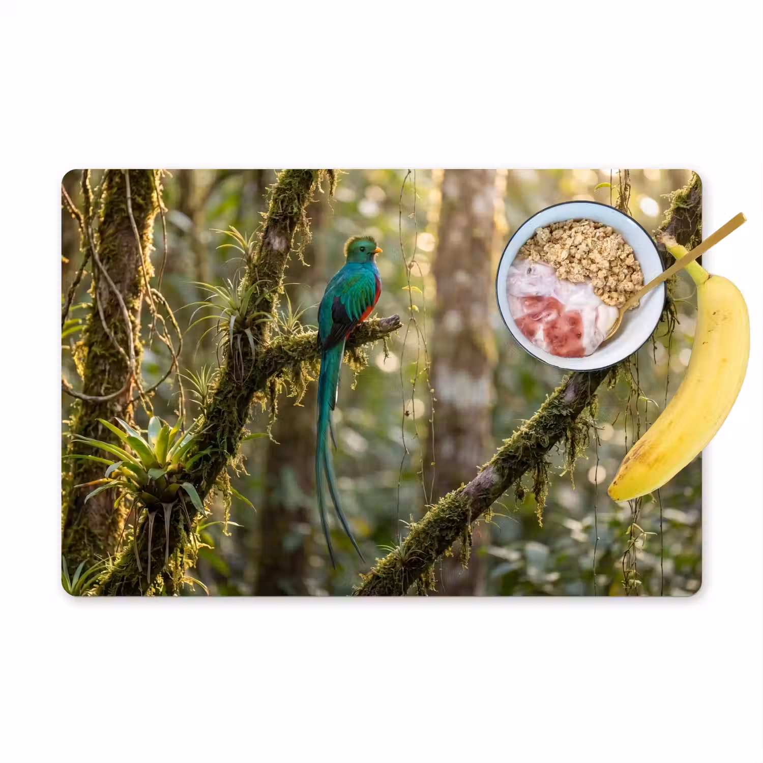 Quetzal - Jungle - Natuur - Groen Placemat vinyl groot -zzzproduct_Kitchenyeah-website