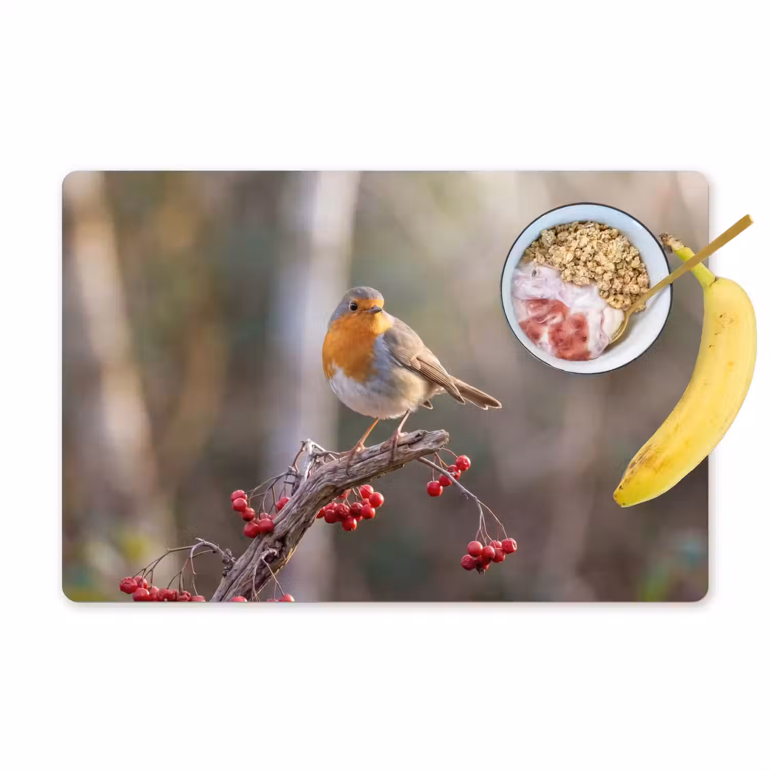Roodborst - Tak - Bessen - Natuur Placemat vinyl groot -zzzproduct_Kitchenyeah-website