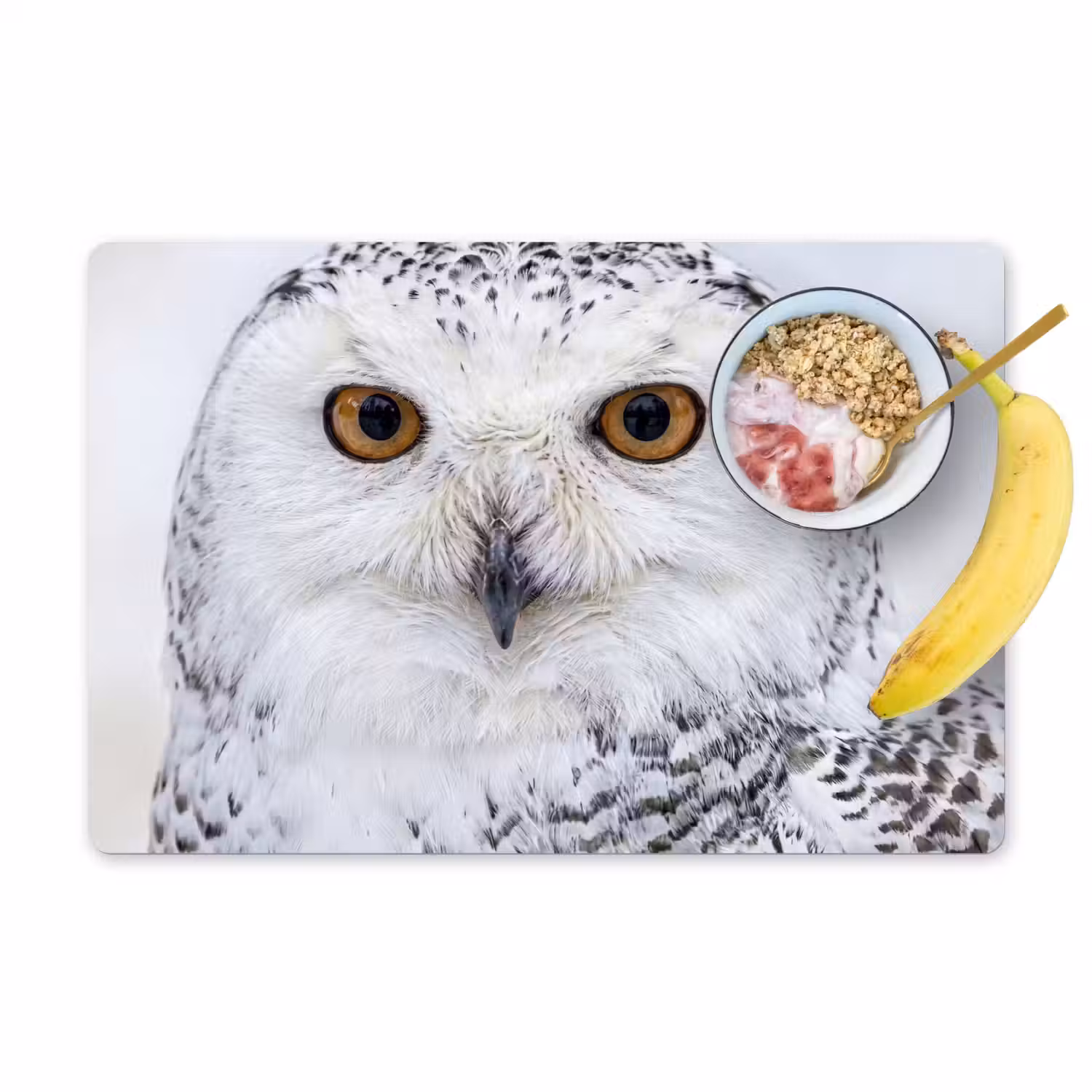 Sneeuwuil - Oog - Wildlife - Wit Placemat vinyl groot -zzzproduct_Kitchenyeah-website